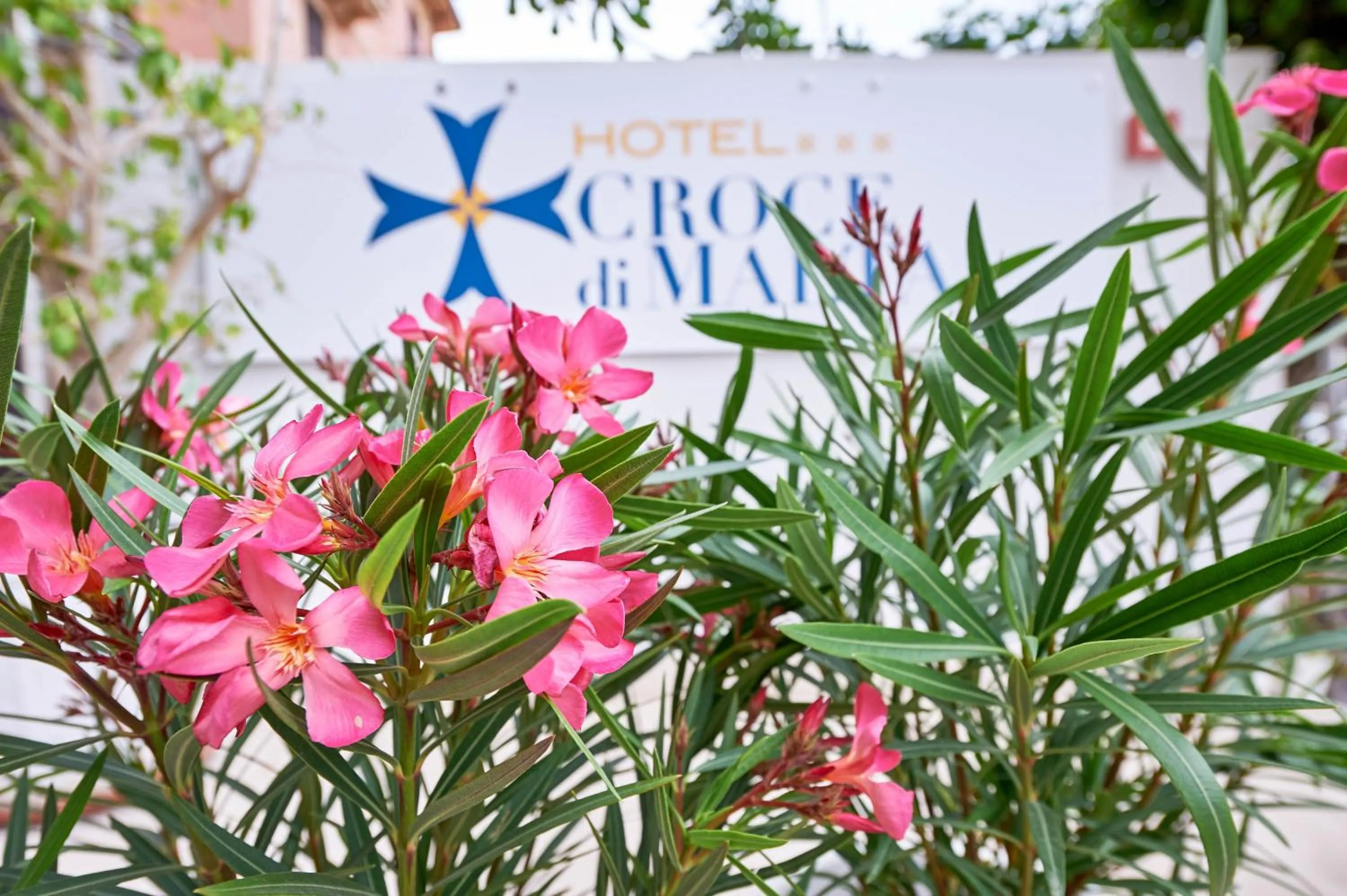 Balcony/Terrace in Hotel Croce Di Malta