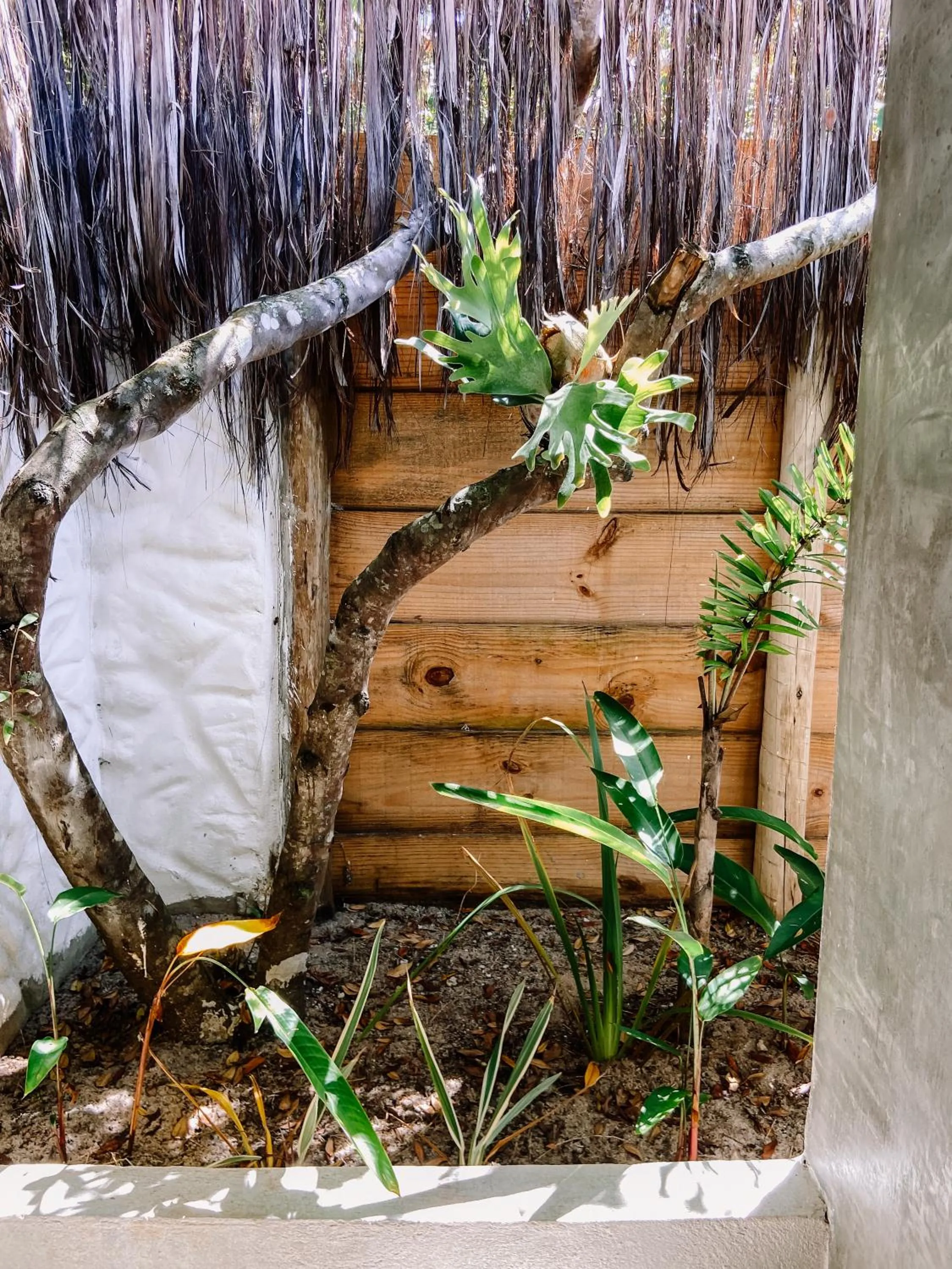 Pousada Quintal Caraíva