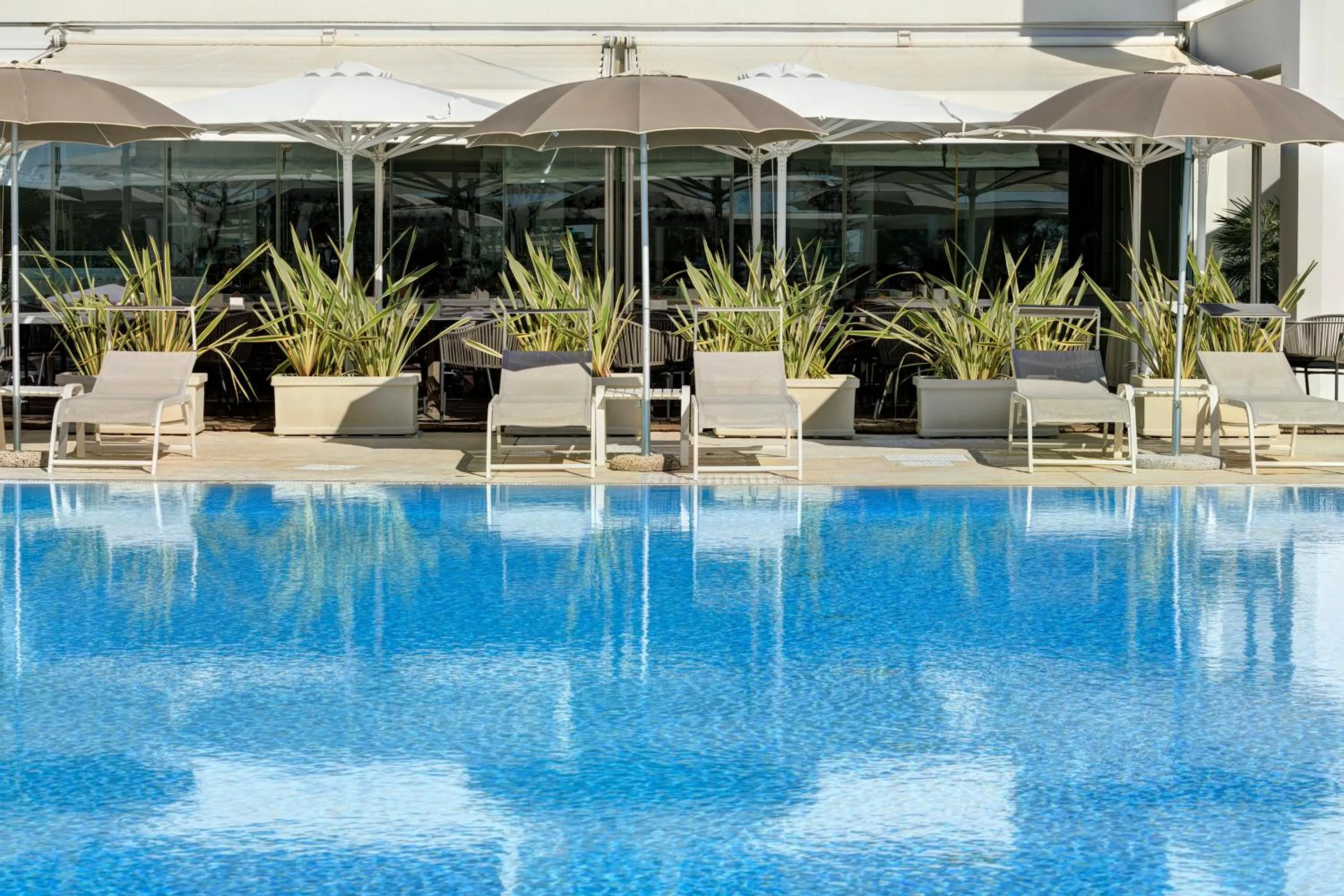 Swimming pool in Adriatic Palace Hotel