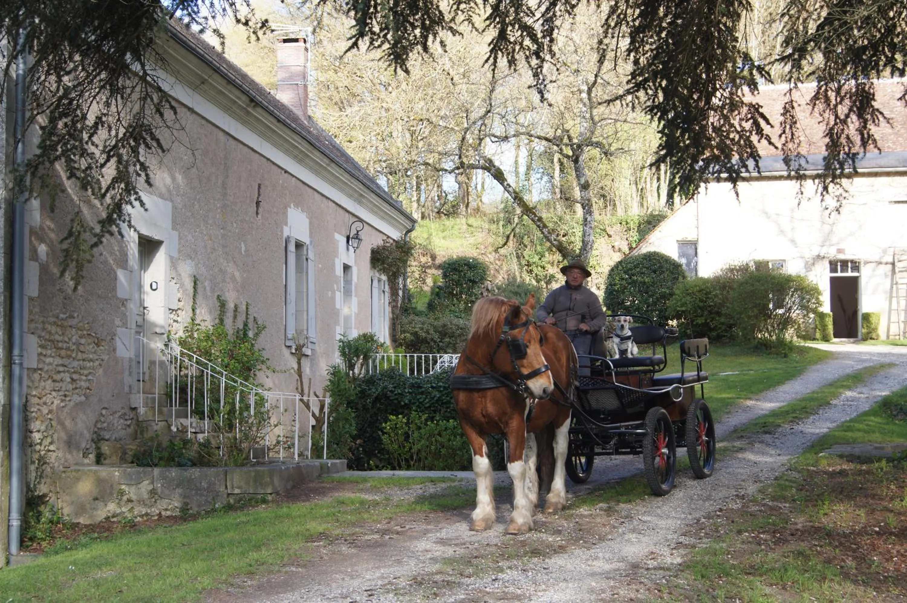 Activities in Le moulin du Mesnil