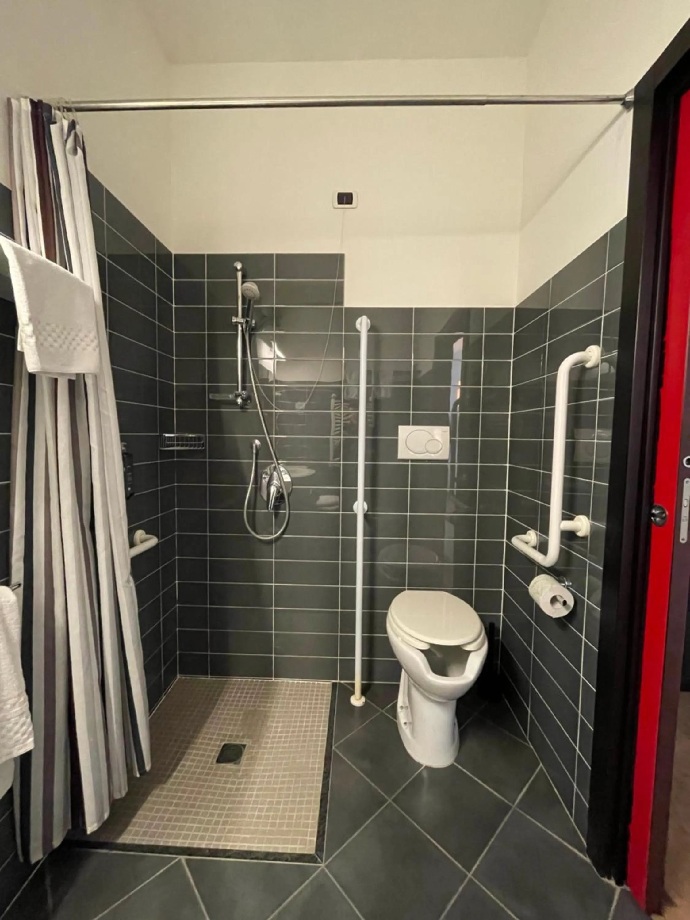 Facility for disabled guests in Hotel Cristallo