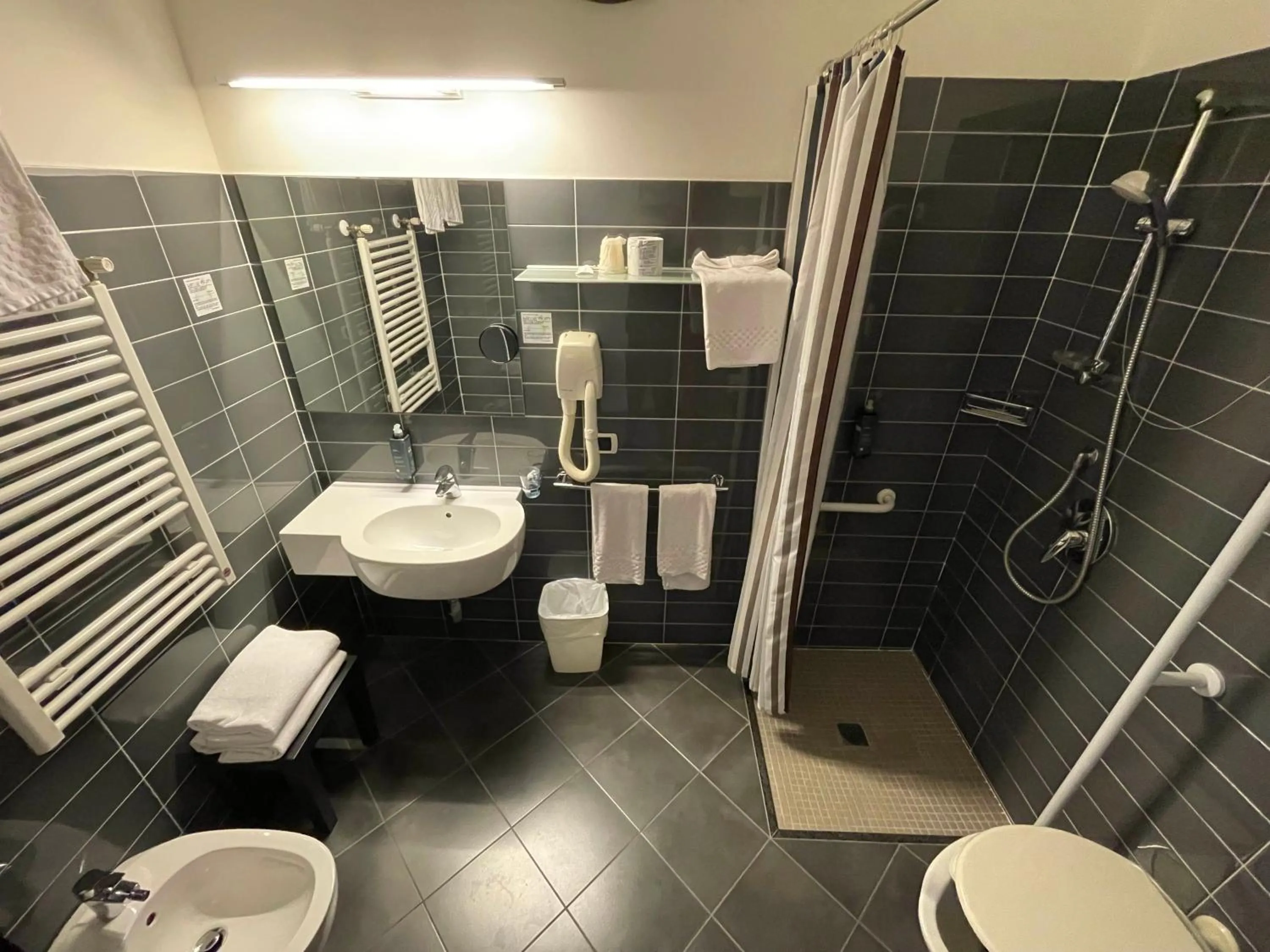 Facility for disabled guests in Hotel Cristallo