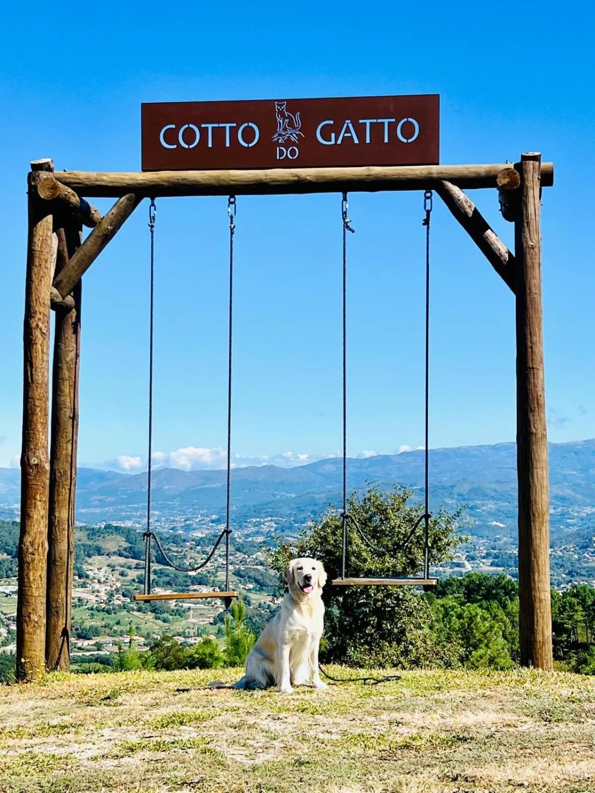 pet friendly in Hotel Cotto do Gatto