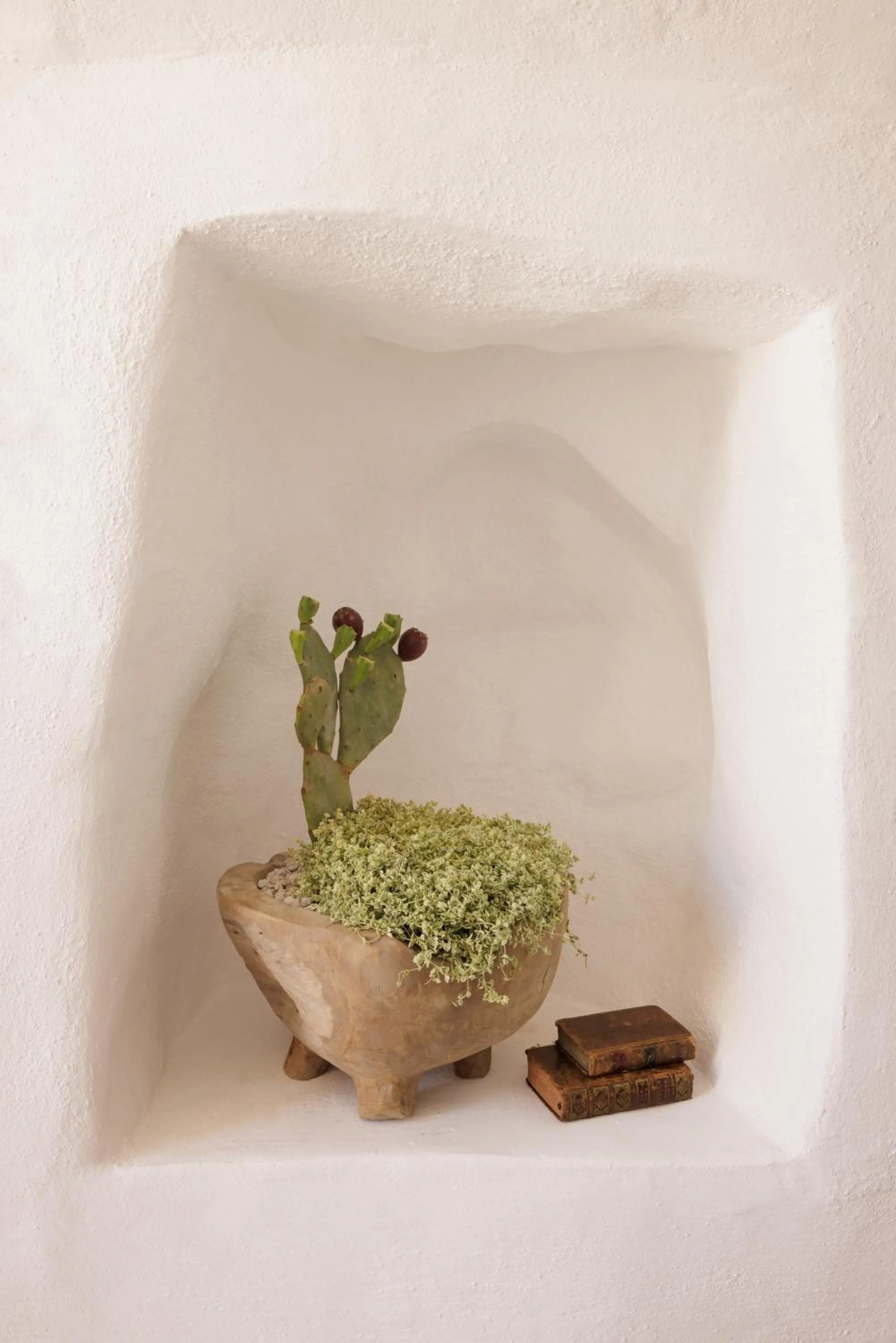 hair dresser in Tenuta Negroamaro