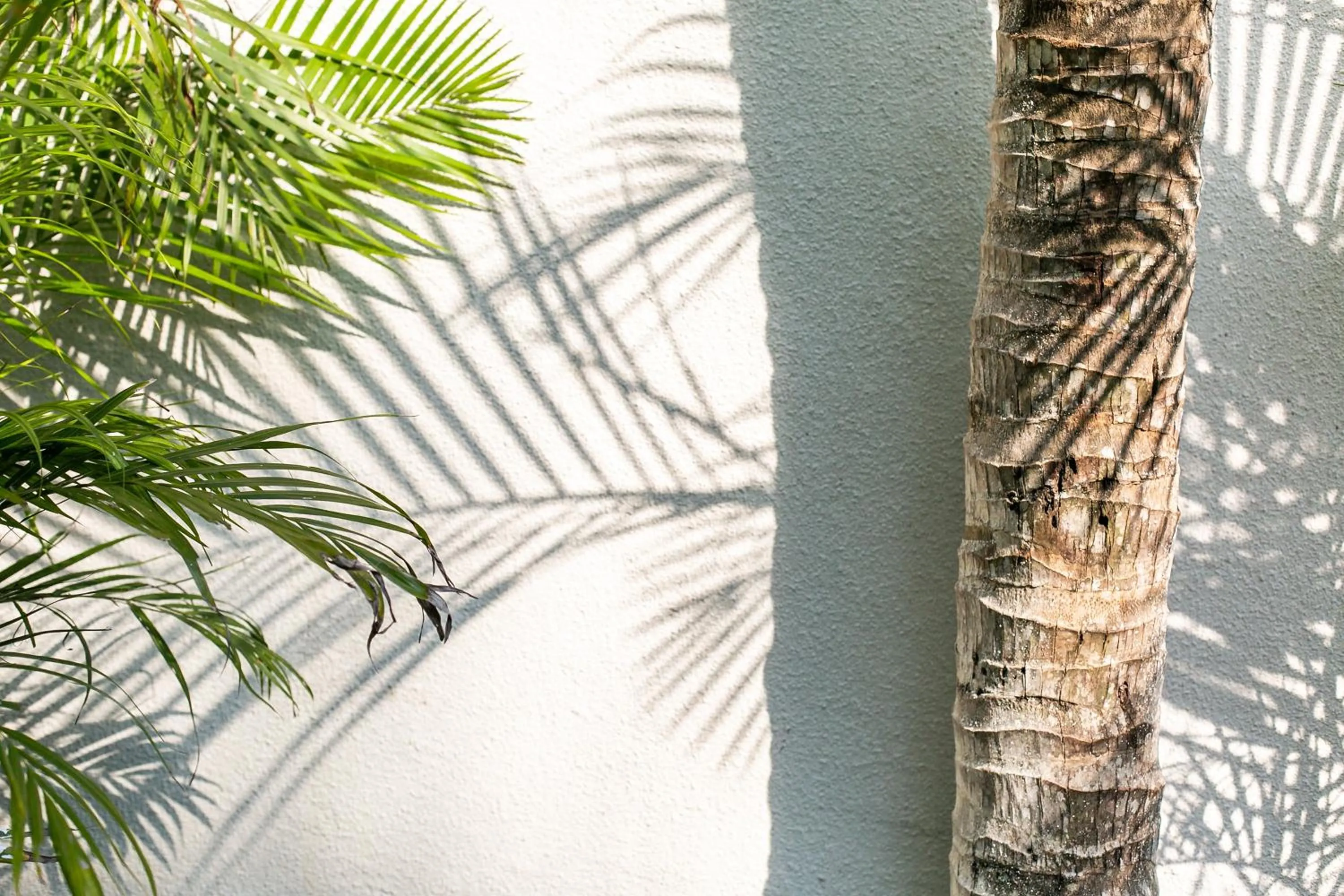 Decorative detail in Coco & Pineapple Pants Hostel