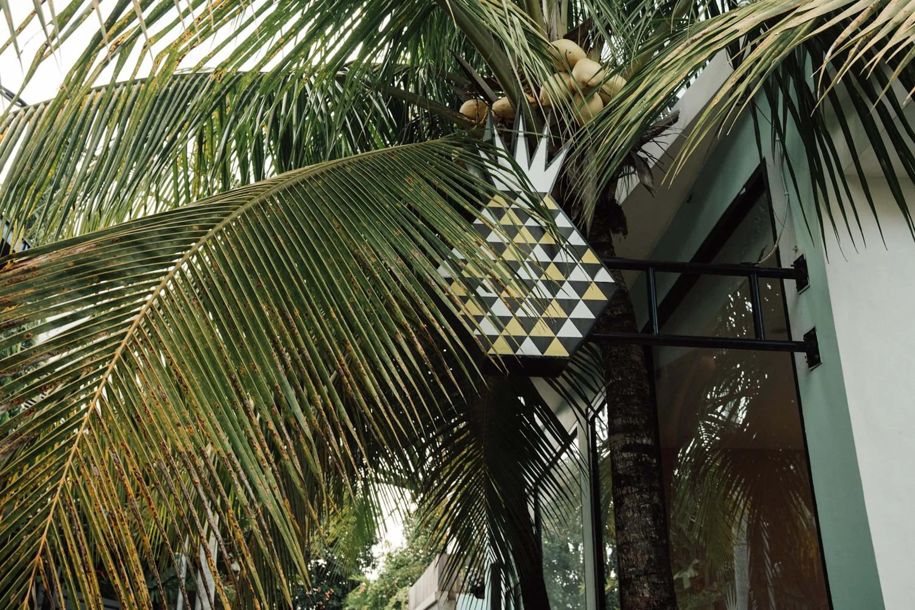 Day in Coco & Pineapple Pants Hostel