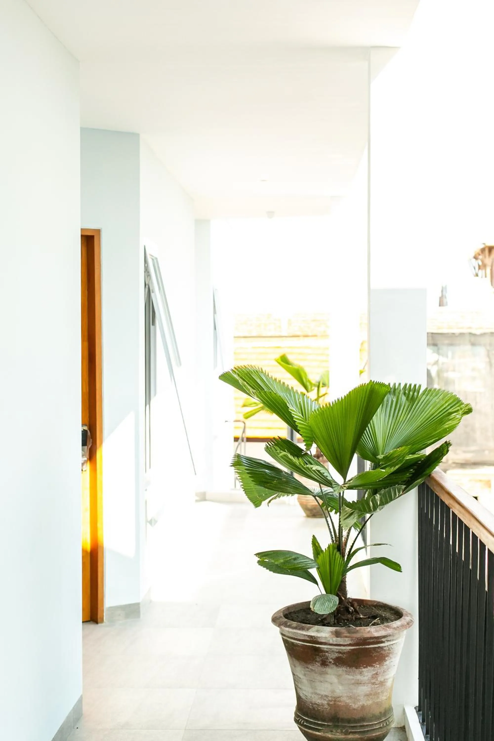 Decorative detail in Coco & Pineapple Pants Hostel