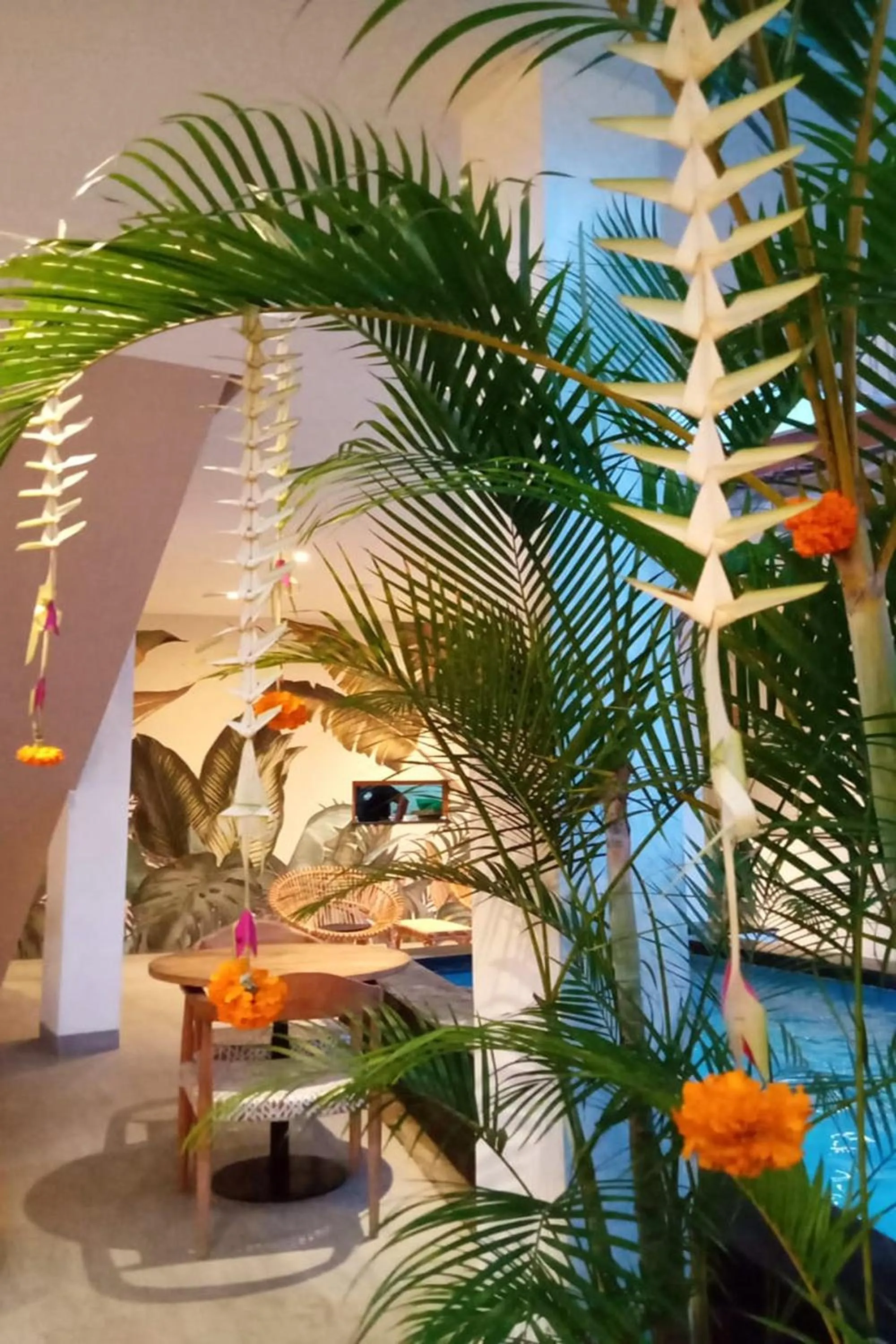 Swimming pool in Coco & Pineapple Pants Hostel