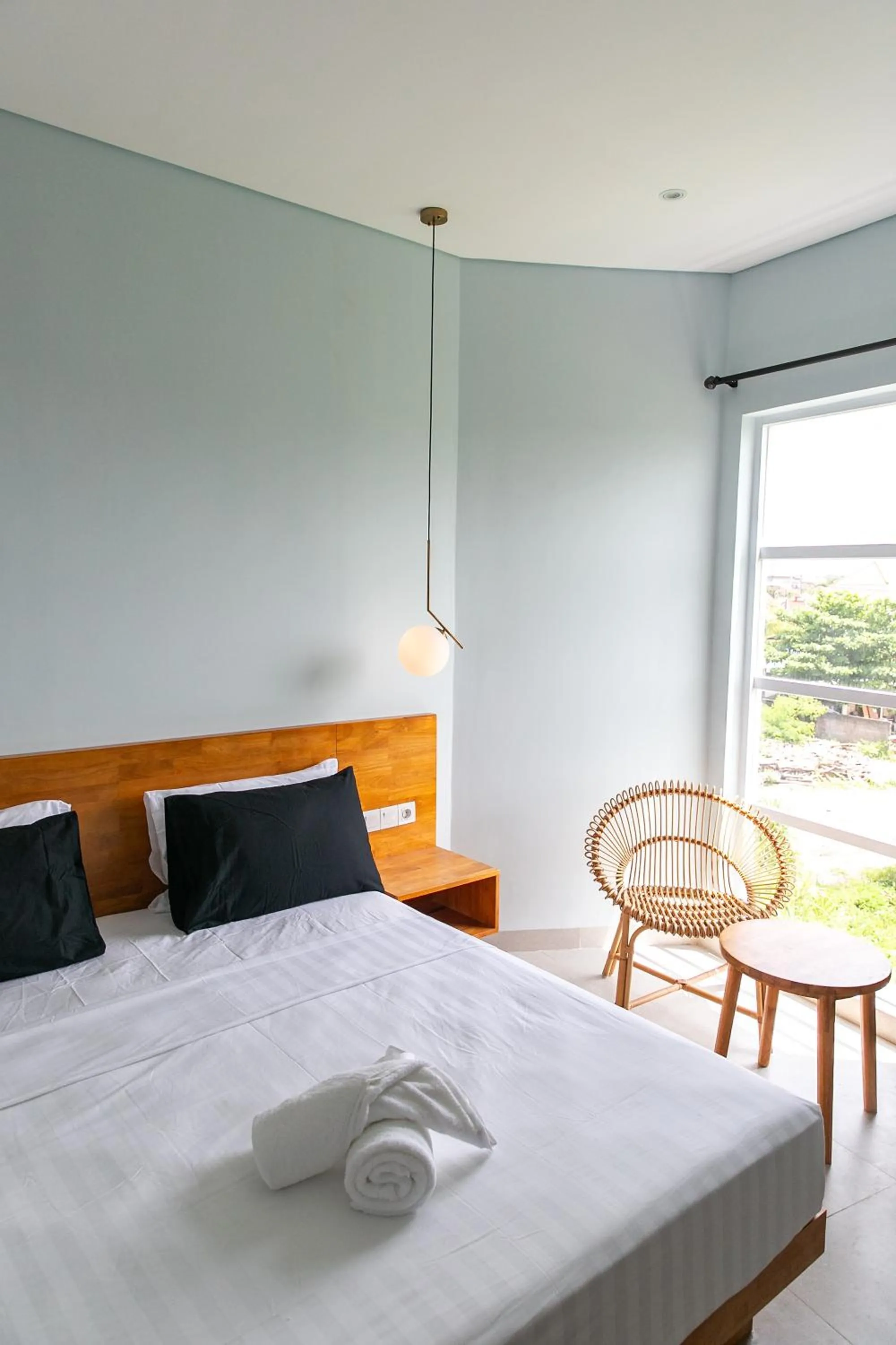 Bed in Coco & Pineapple Pants Hostel