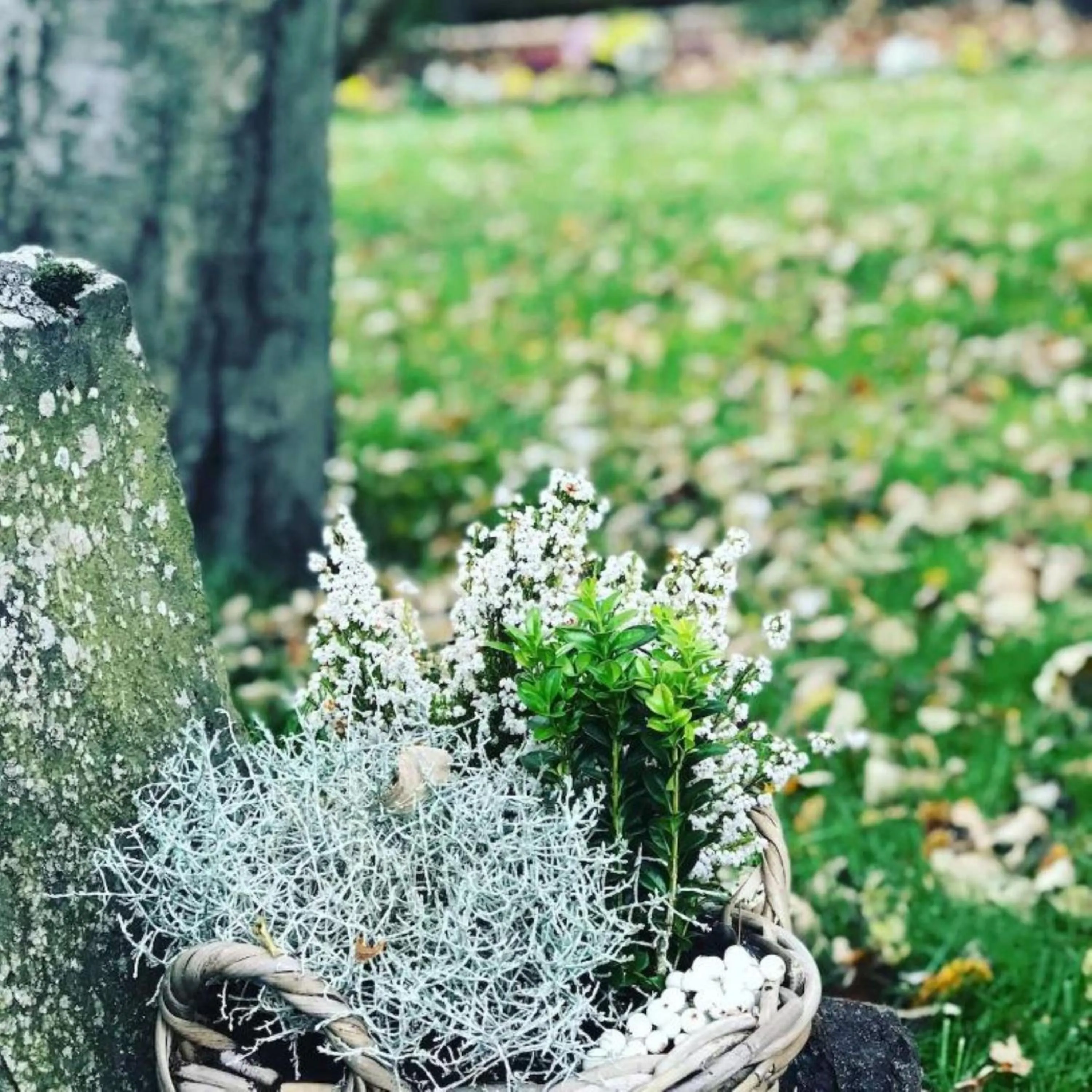 Spring in Snorri's Guesthouse