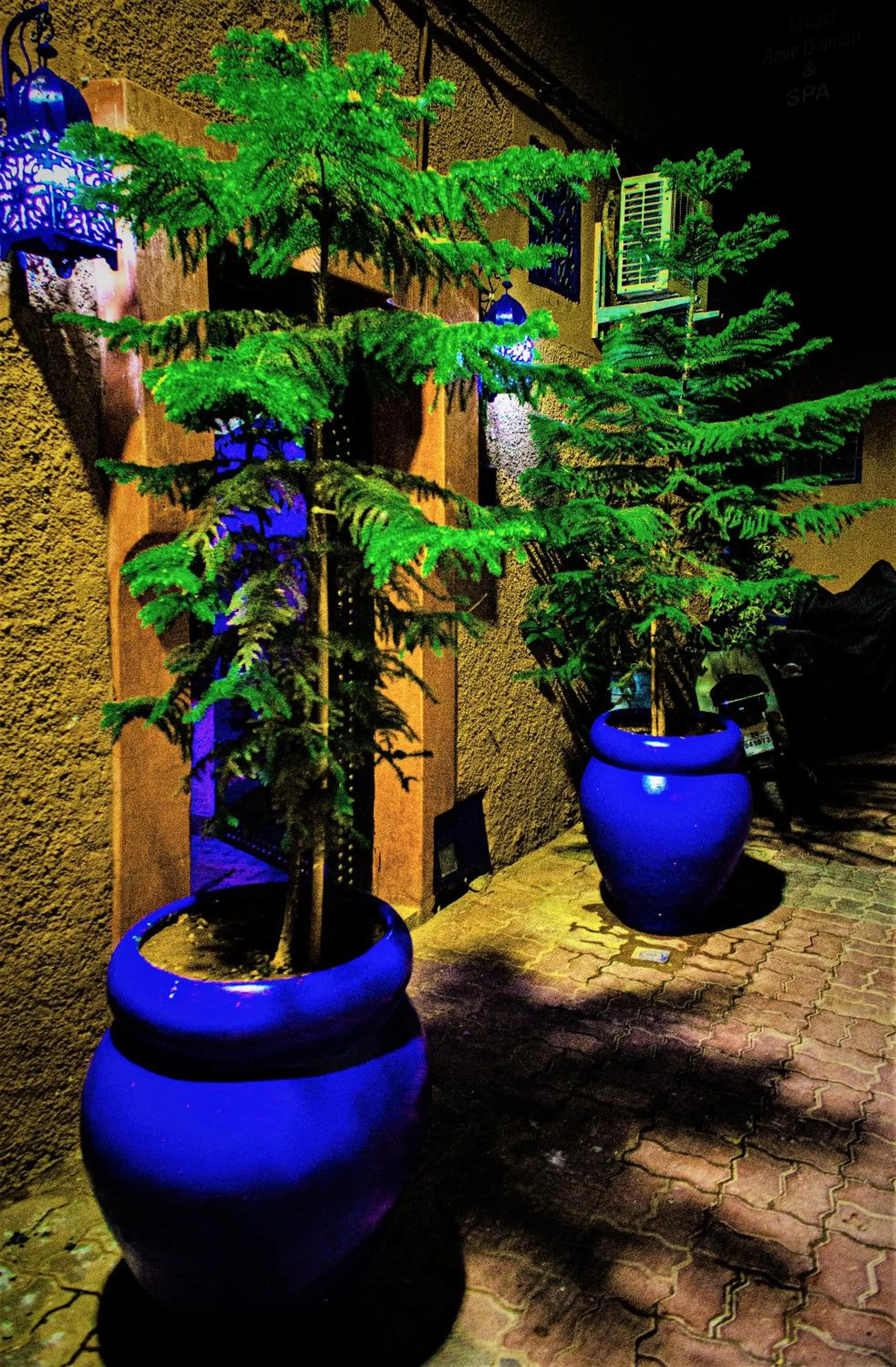 View (from property/room) in Riad Rêve d Antan , Real Dream