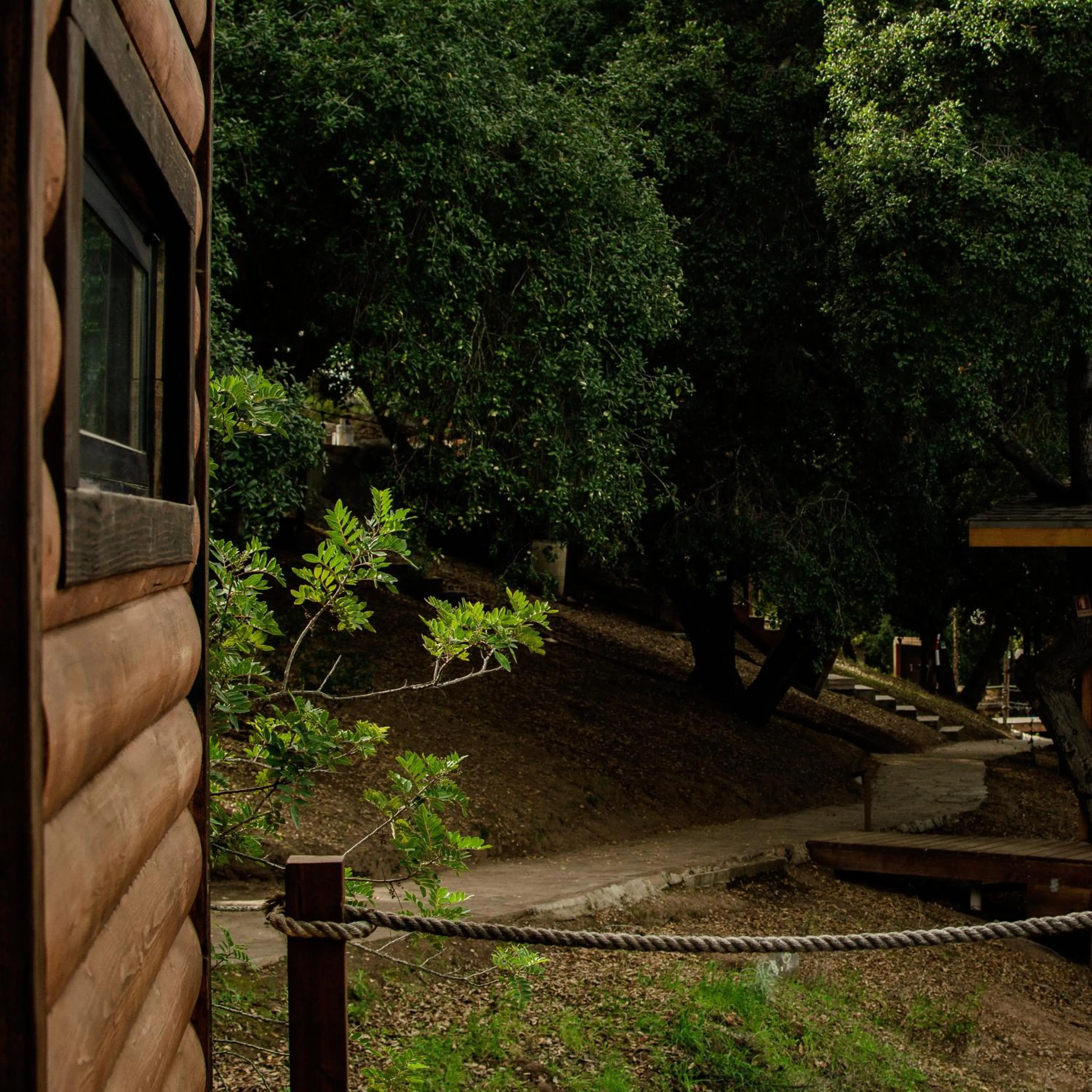Balcony/Terrace in Boskenvid Hotel - Romantic Treehouses & Skypool