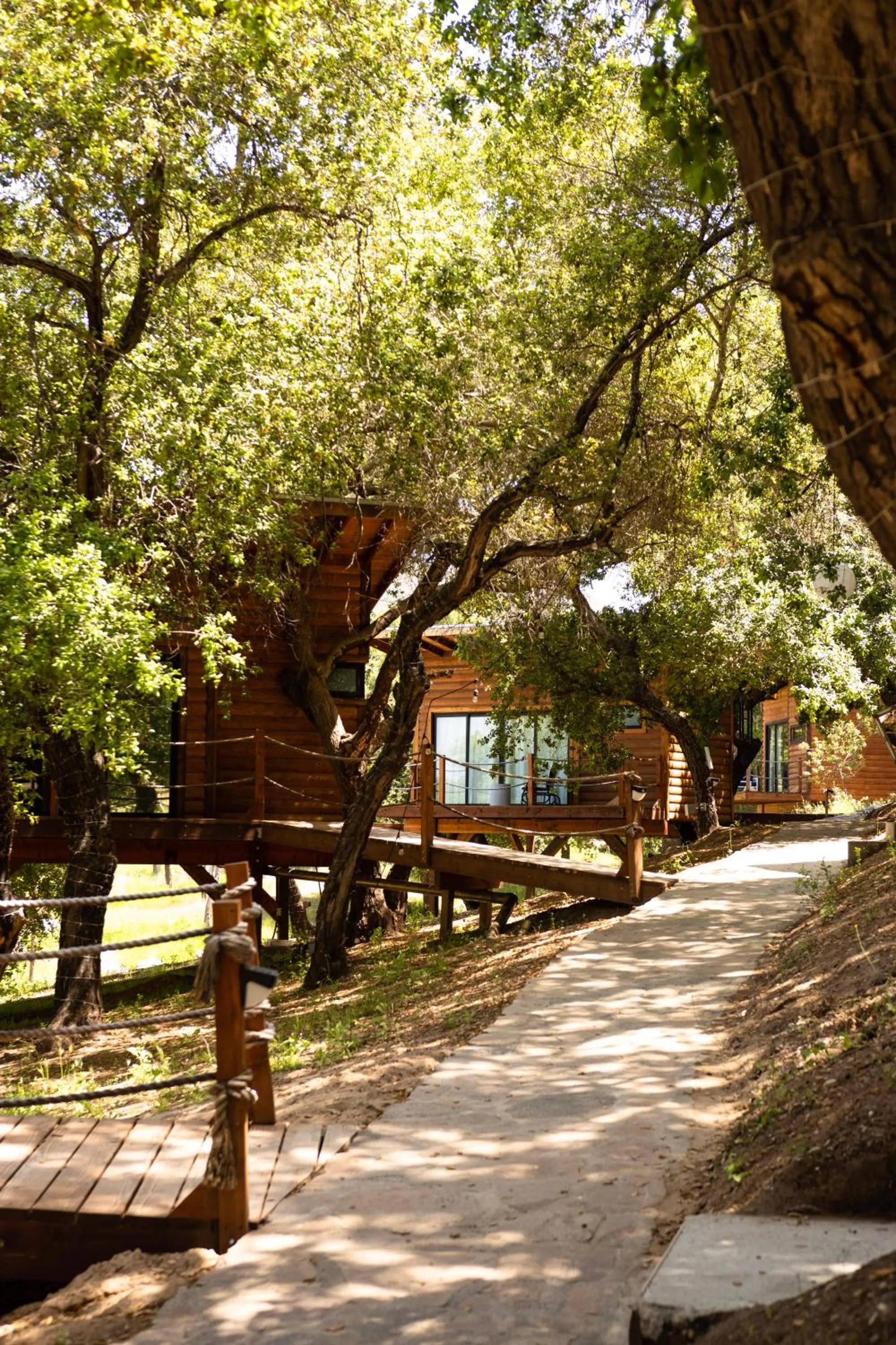 Property building in Boskenvid Hotel - Romantic Treehouses & Skypool