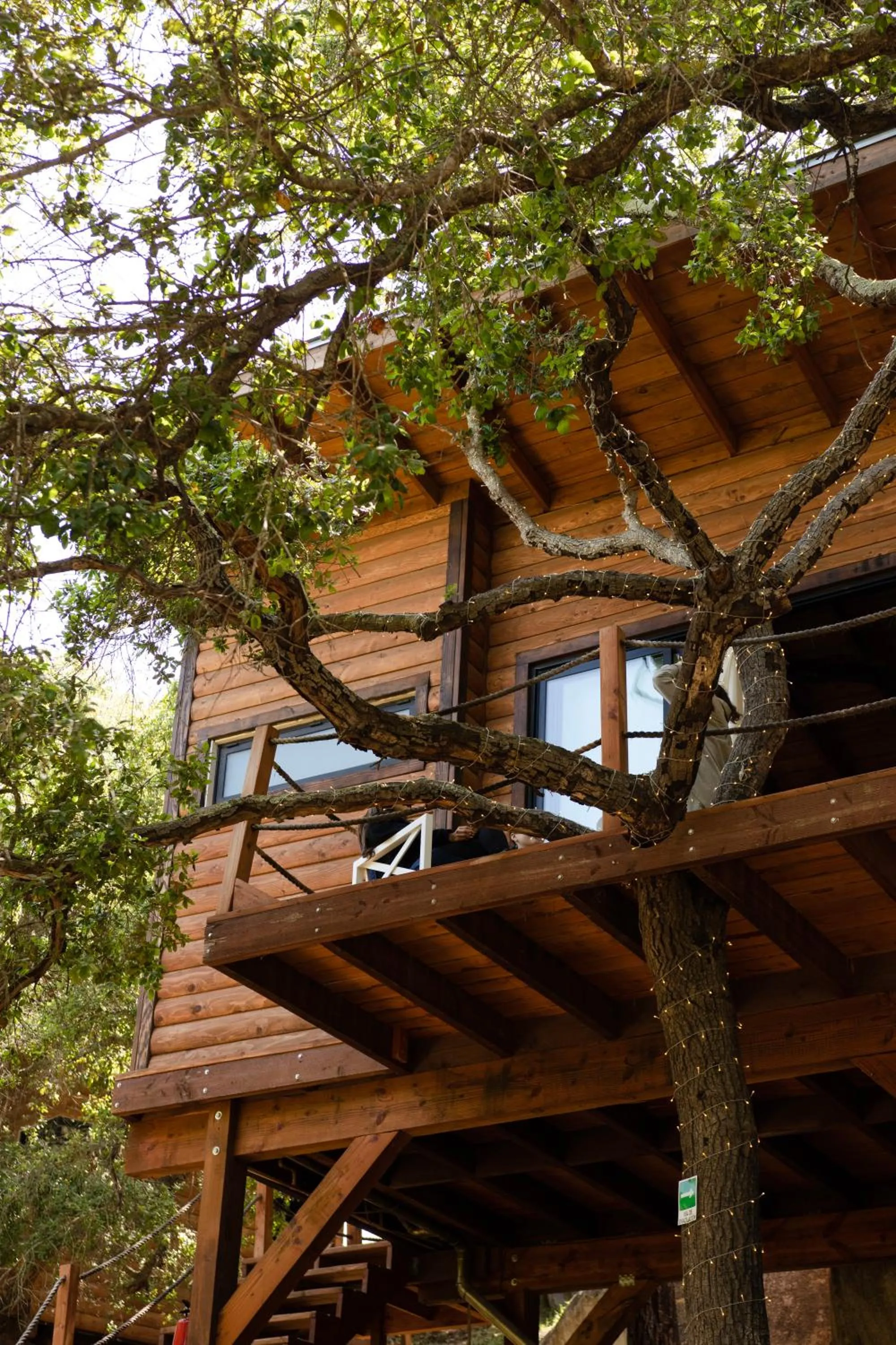 View (from property/room) in Boskenvid Hotel - Romantic Treehouses & Skypool