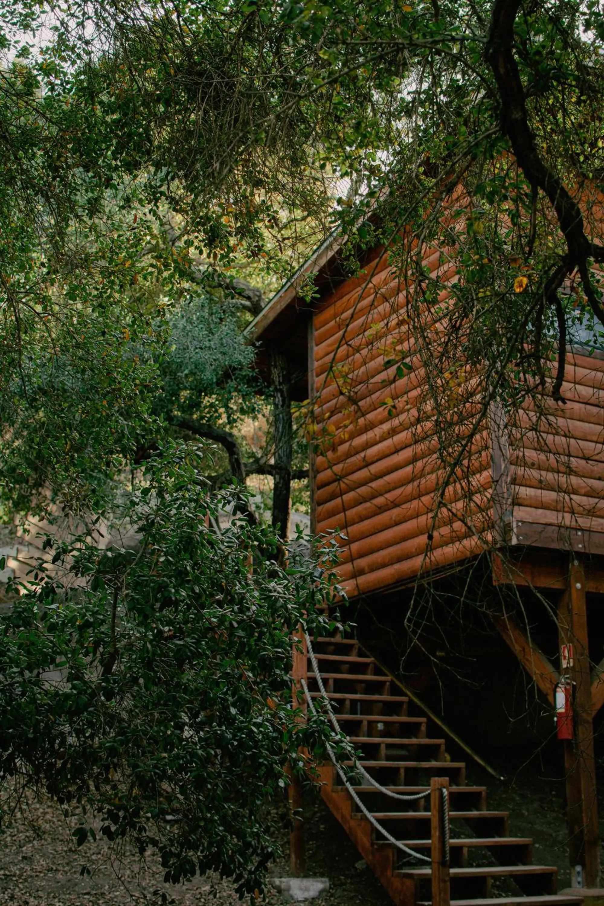 Off site in Boskenvid Hotel - Romantic Treehouses & Skypool