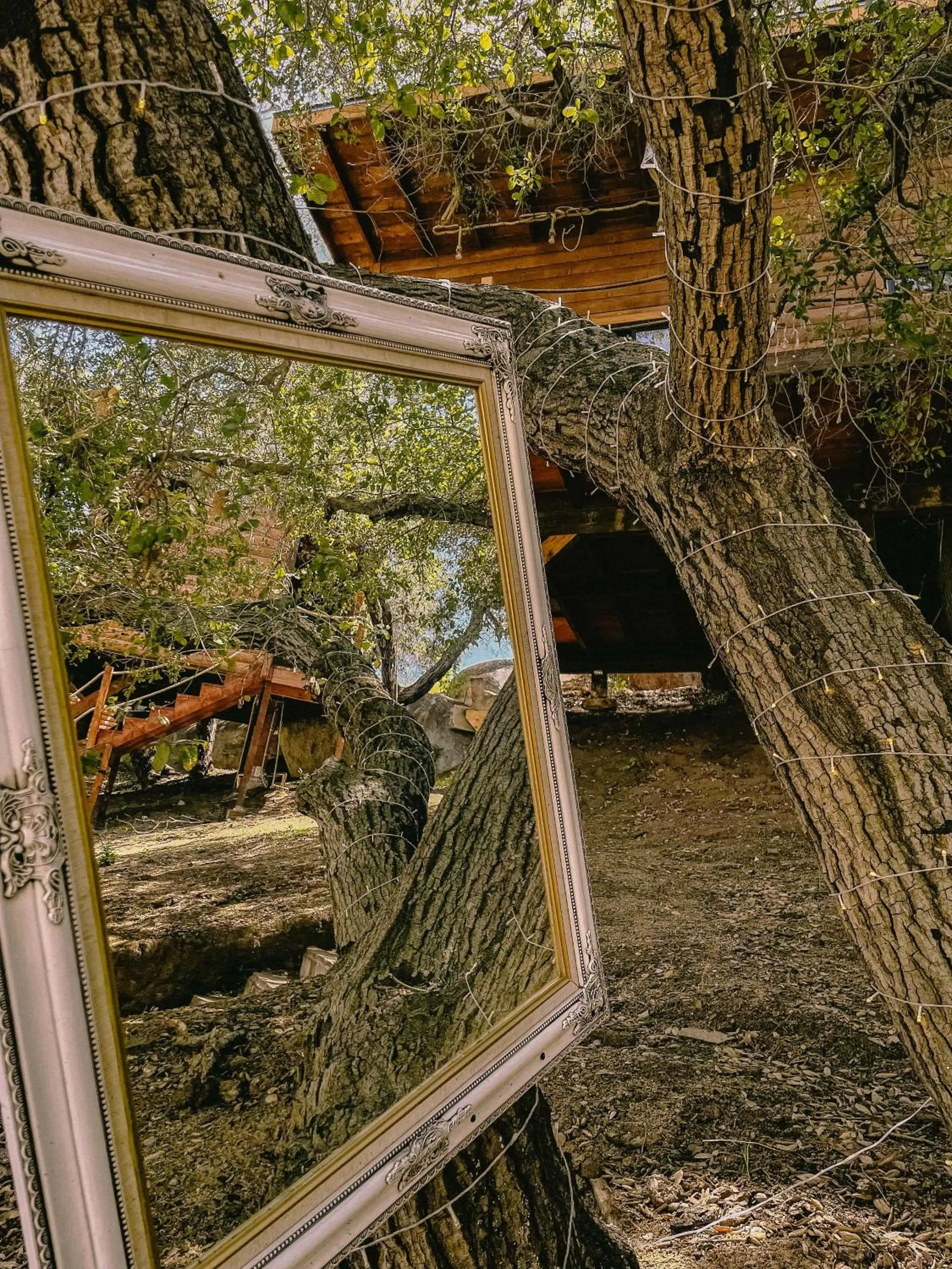 Garden in Boskenvid Hotel - Romantic Treehouses & Skypool