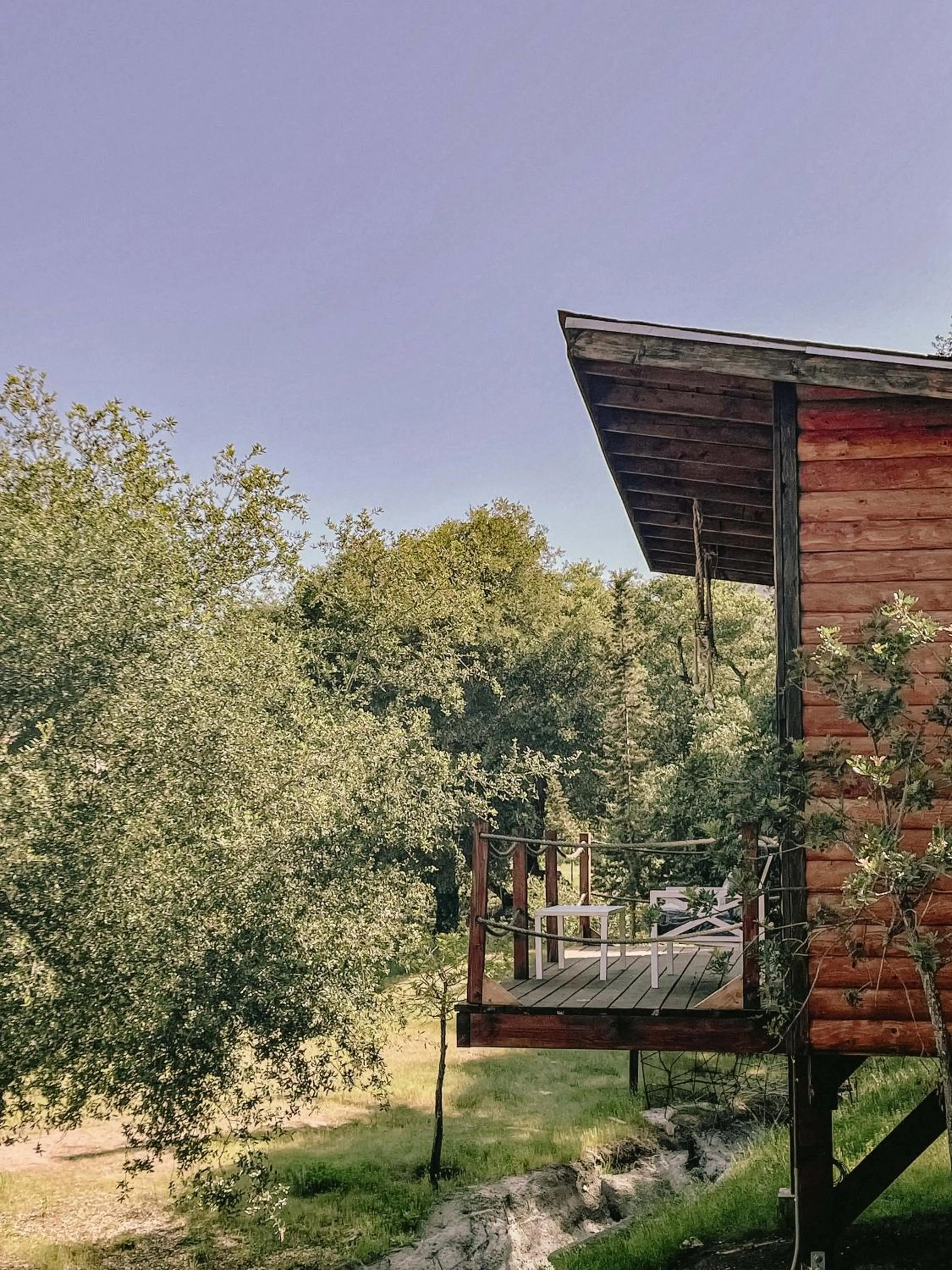 Garden in Boskenvid Hotel - Romantic Treehouses & Skypool