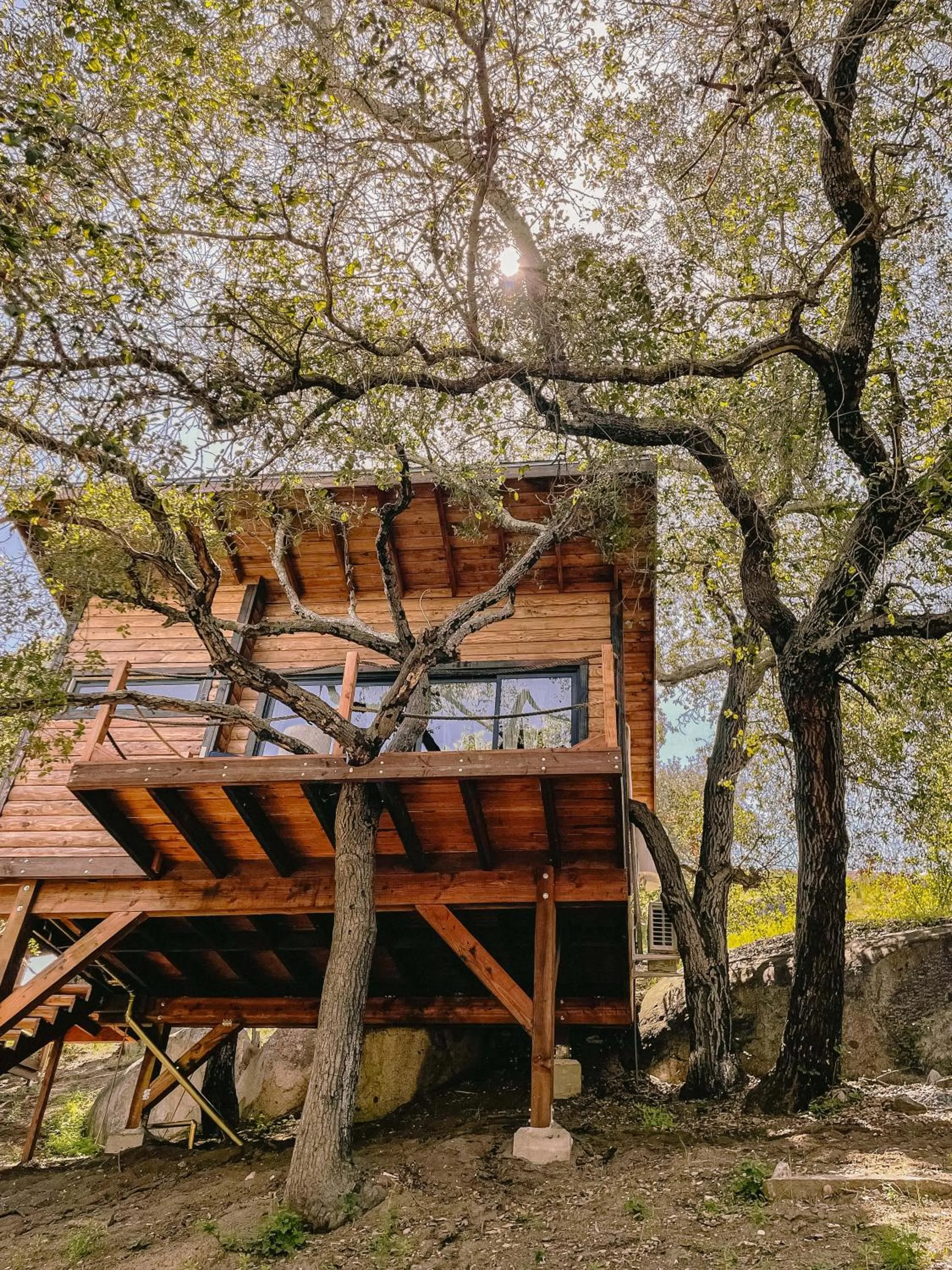 Property building in Boskenvid Hotel - Romantic Treehouses & Skypool
