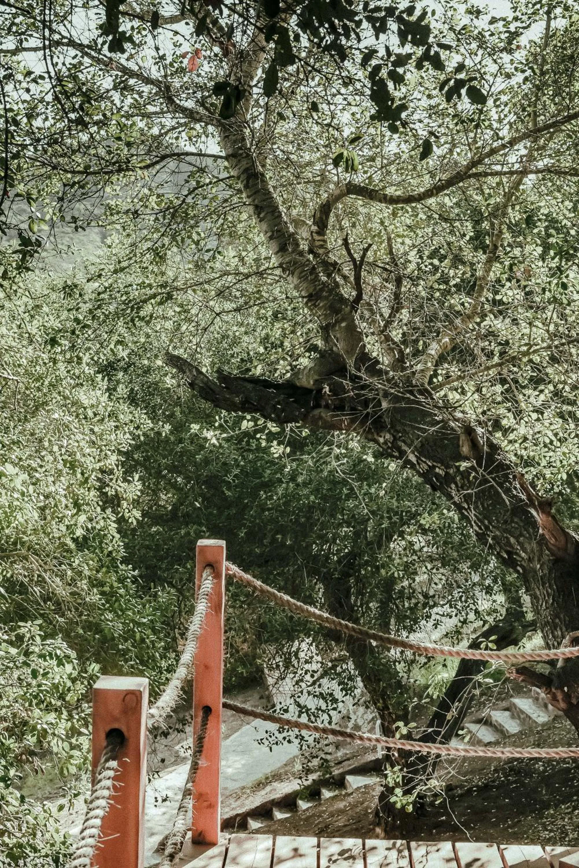 Garden in Boskenvid Hotel - Romantic Treehouses & Skypool
