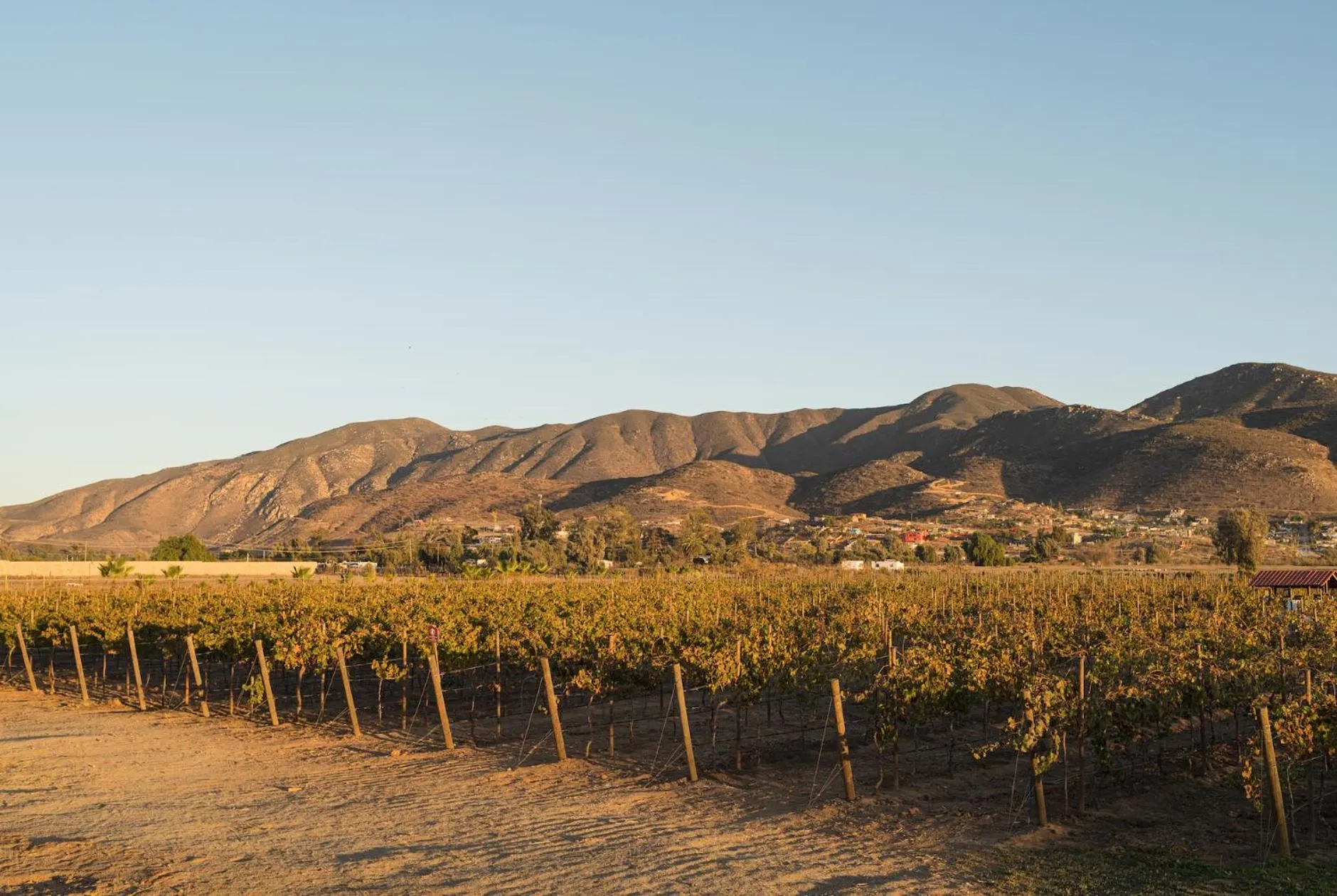 View (from property/room) in Casa Entrevez