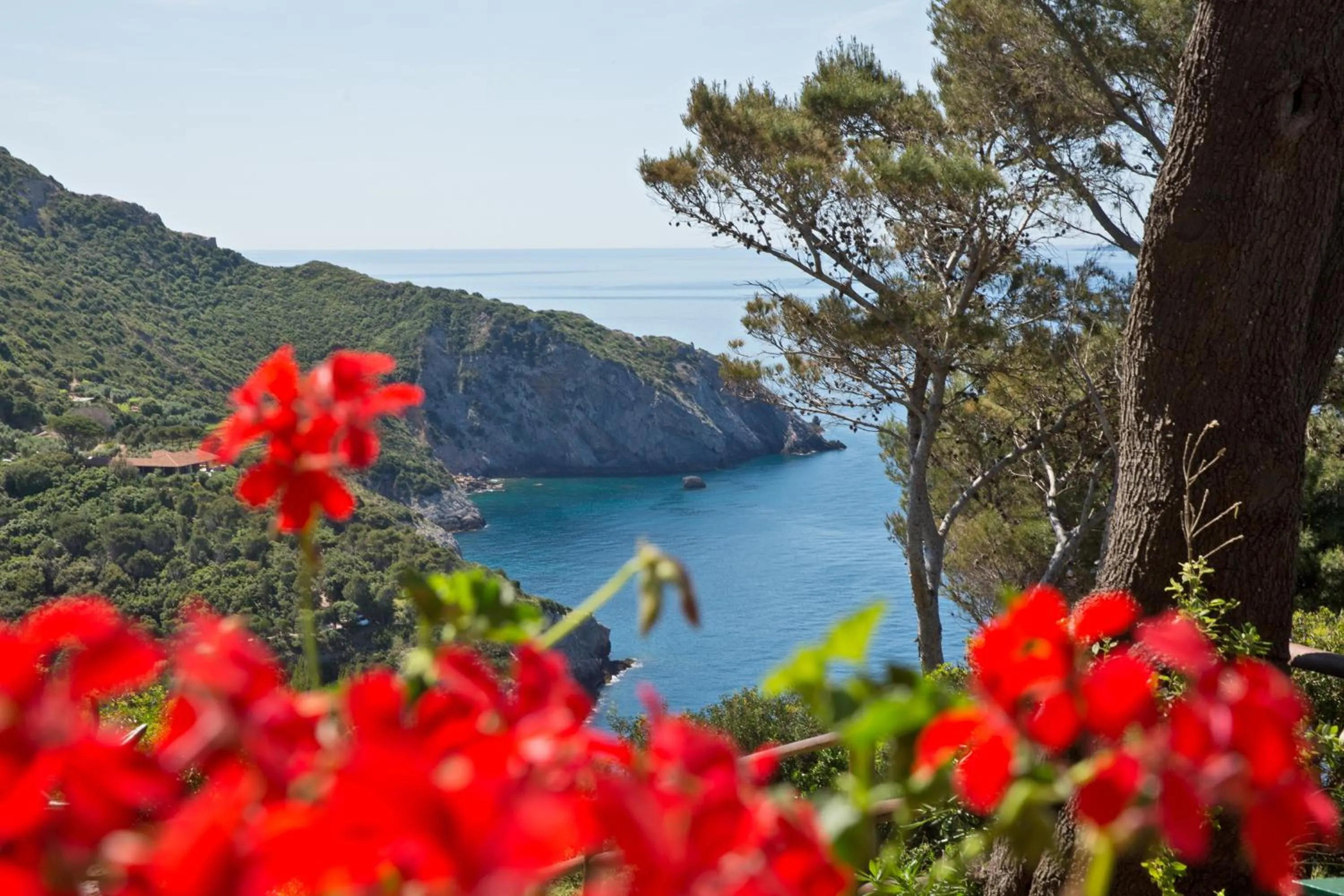 Natural landscape in Boutique Hotel Torre Di Cala Piccola