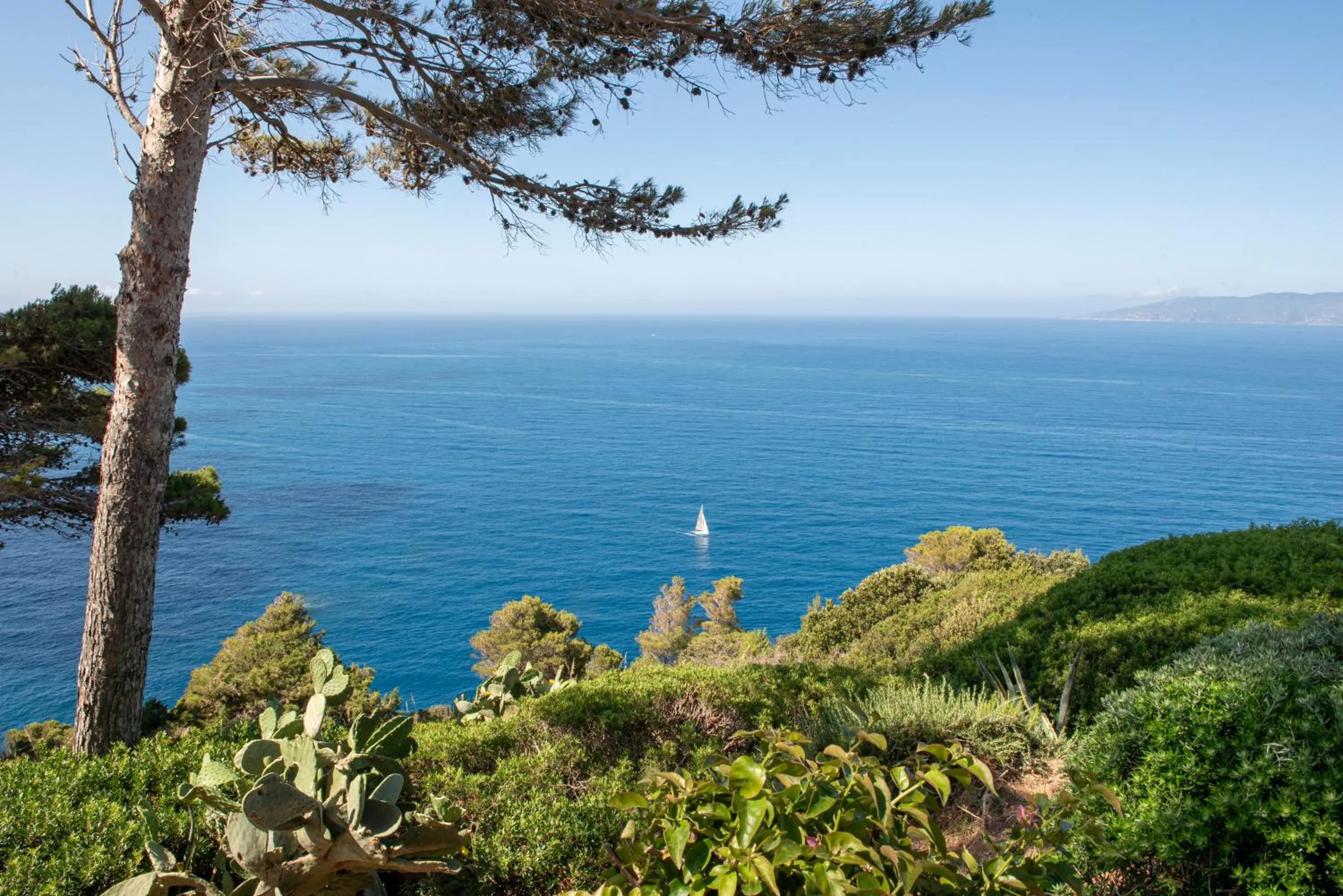 Natural landscape in Boutique Hotel Torre Di Cala Piccola