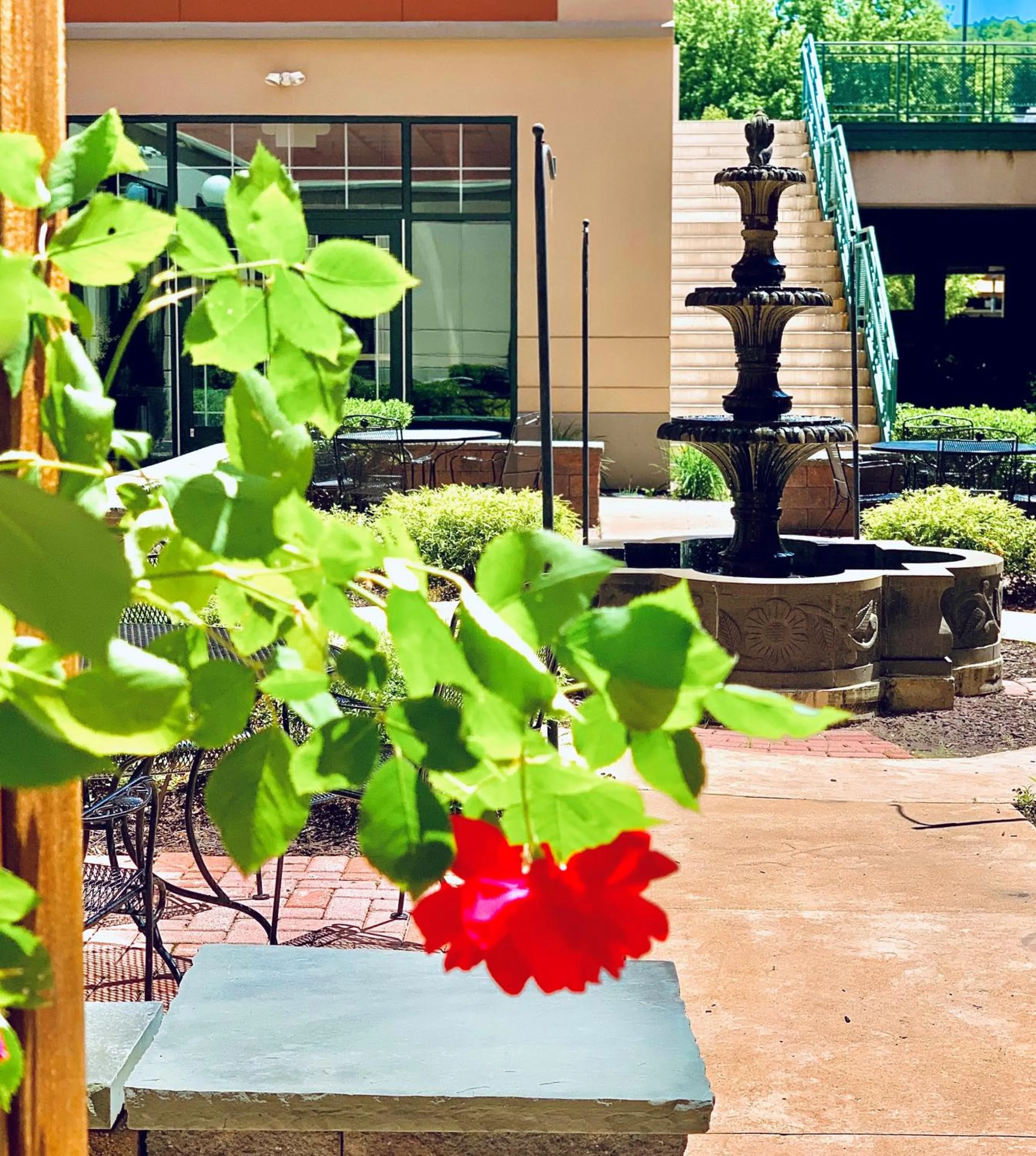 Patio in Hotel Anthracite