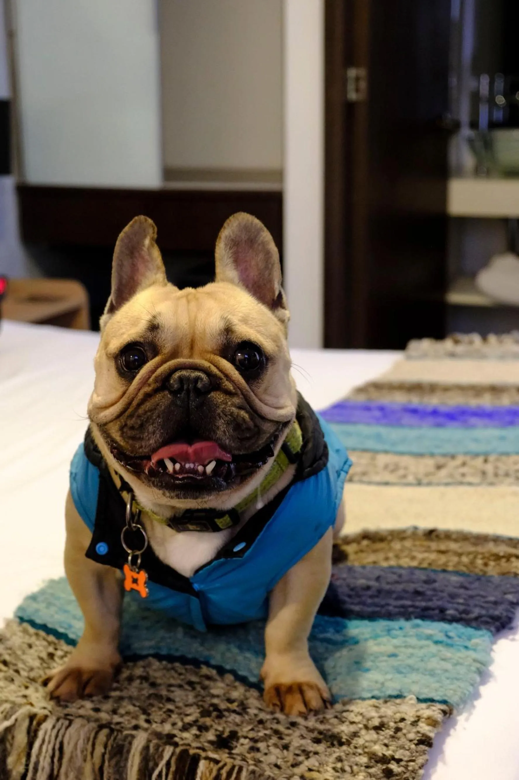 Other in Hotel DC Feria