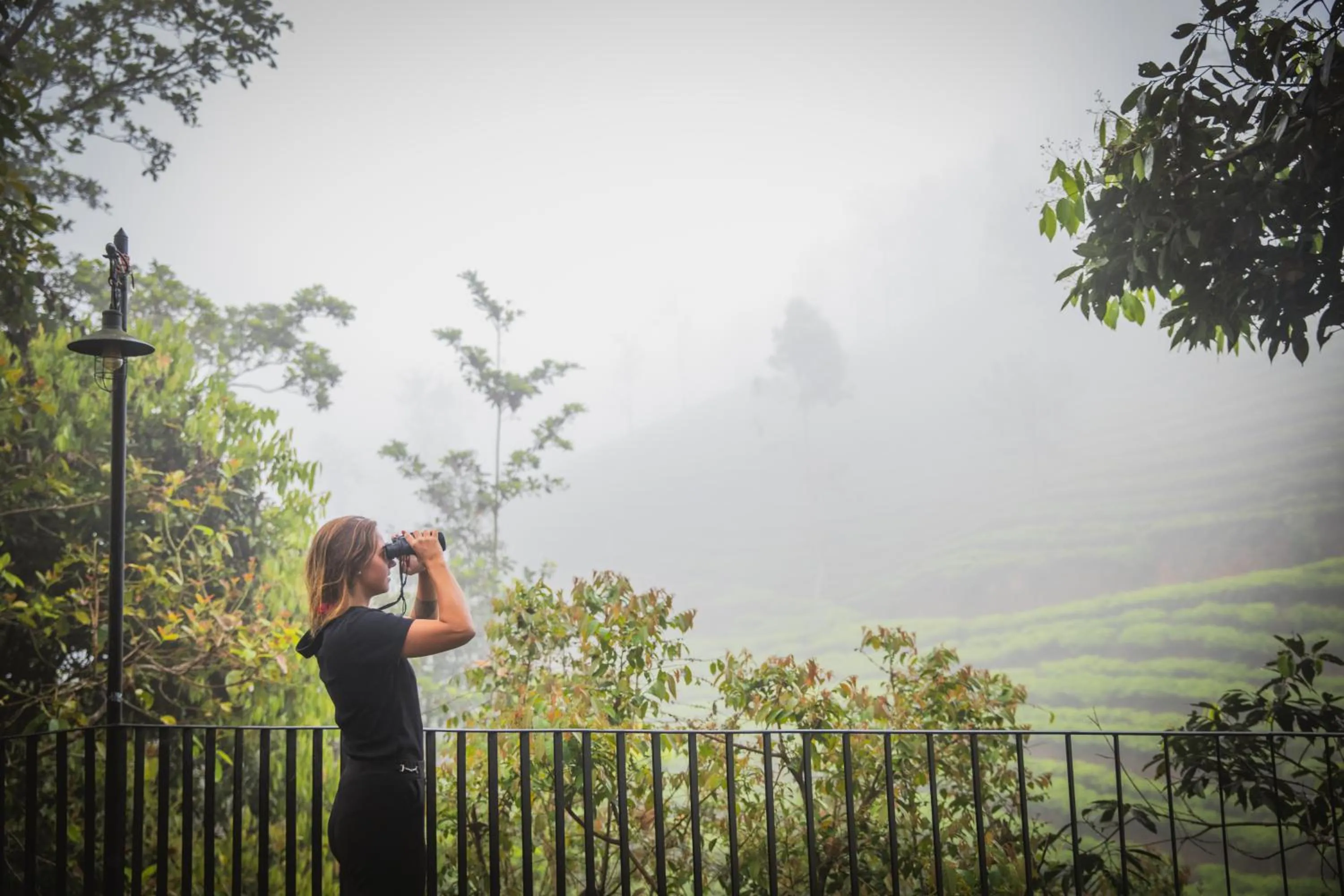 Activities in Flora Vythiri Resort Wayanad