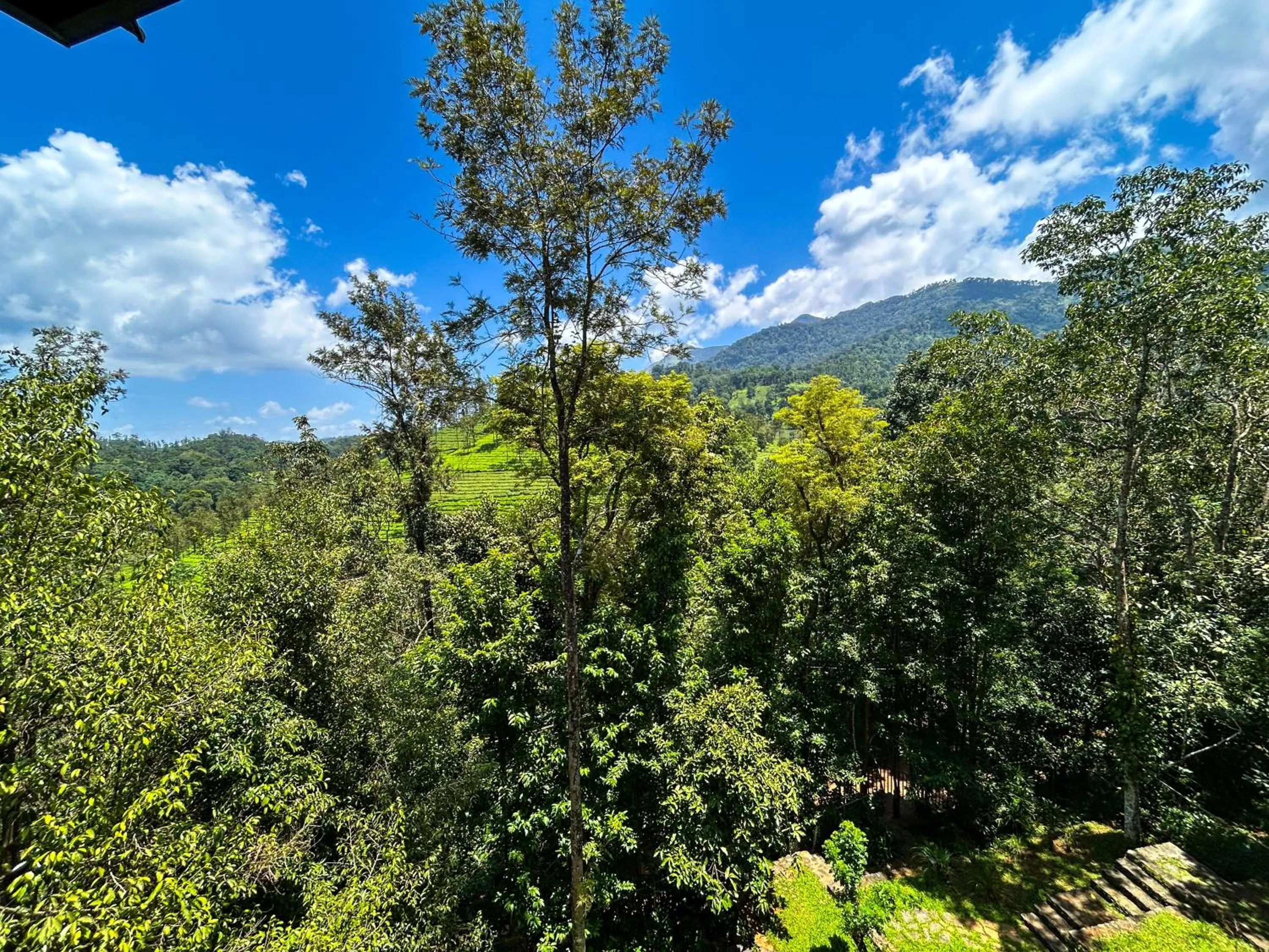 View (from property/room) in Flora Vythiri Resort Wayanad