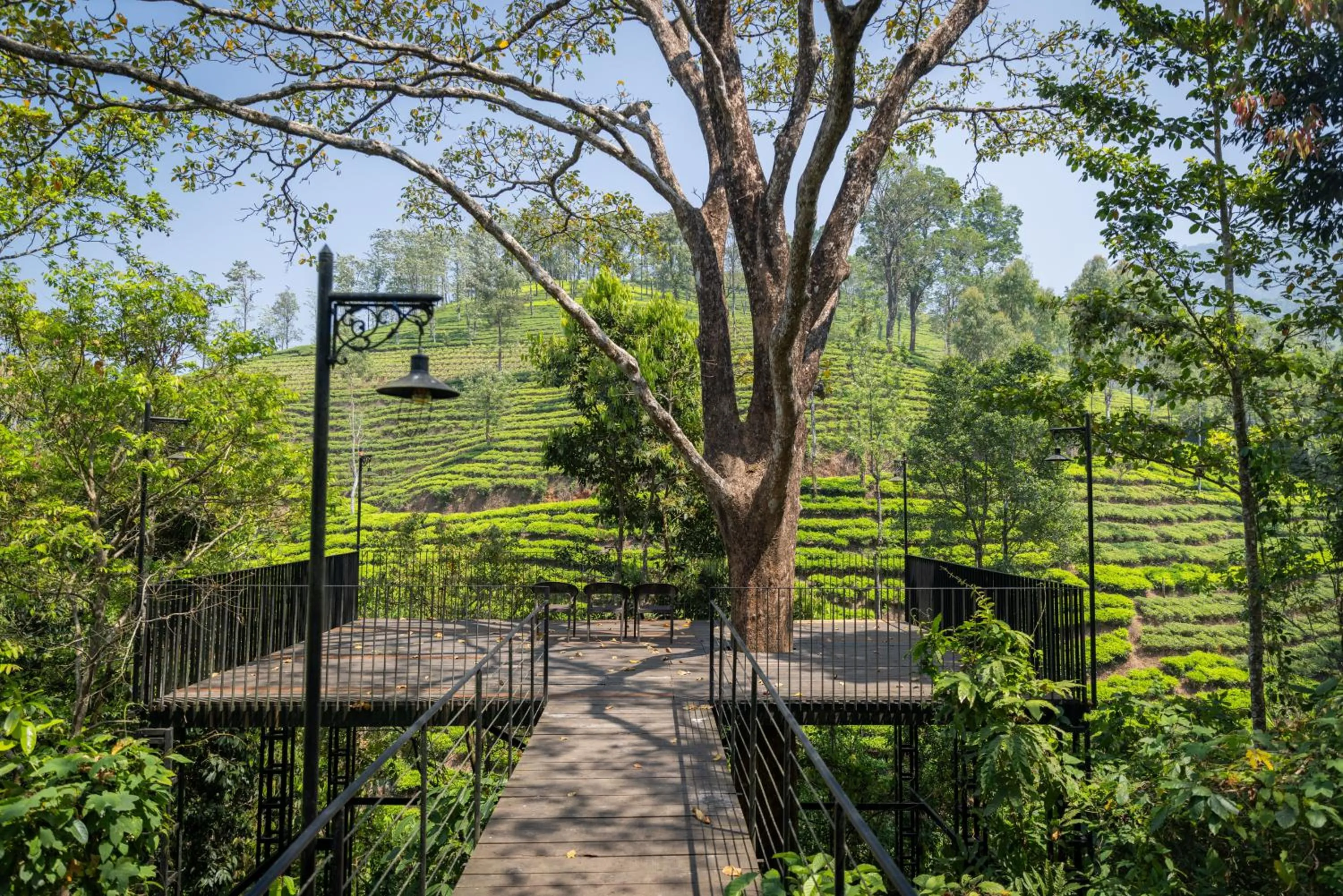 Day in Flora Vythiri Resort Wayanad