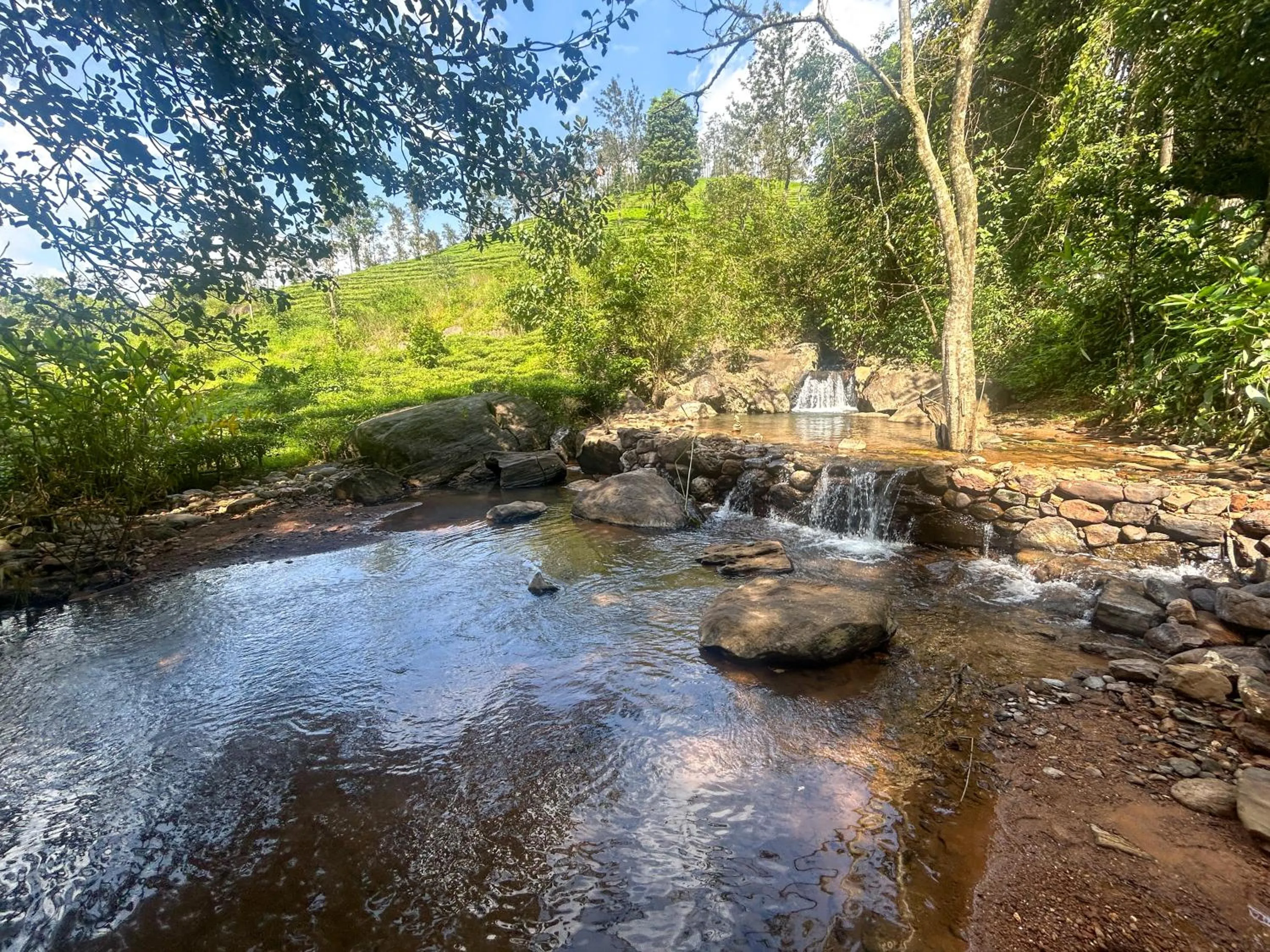 Natural landscape in Flora Vythiri Resort Wayanad