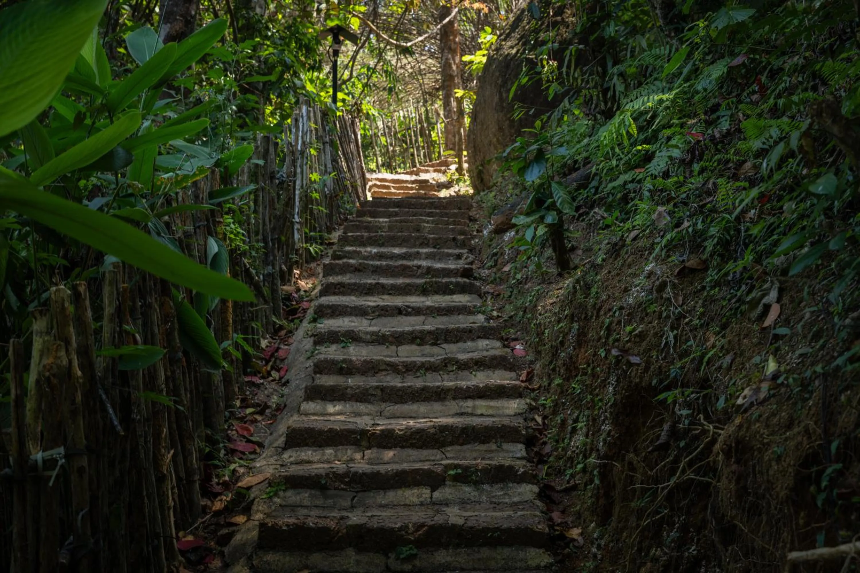 Activities in Flora Vythiri Resort Wayanad