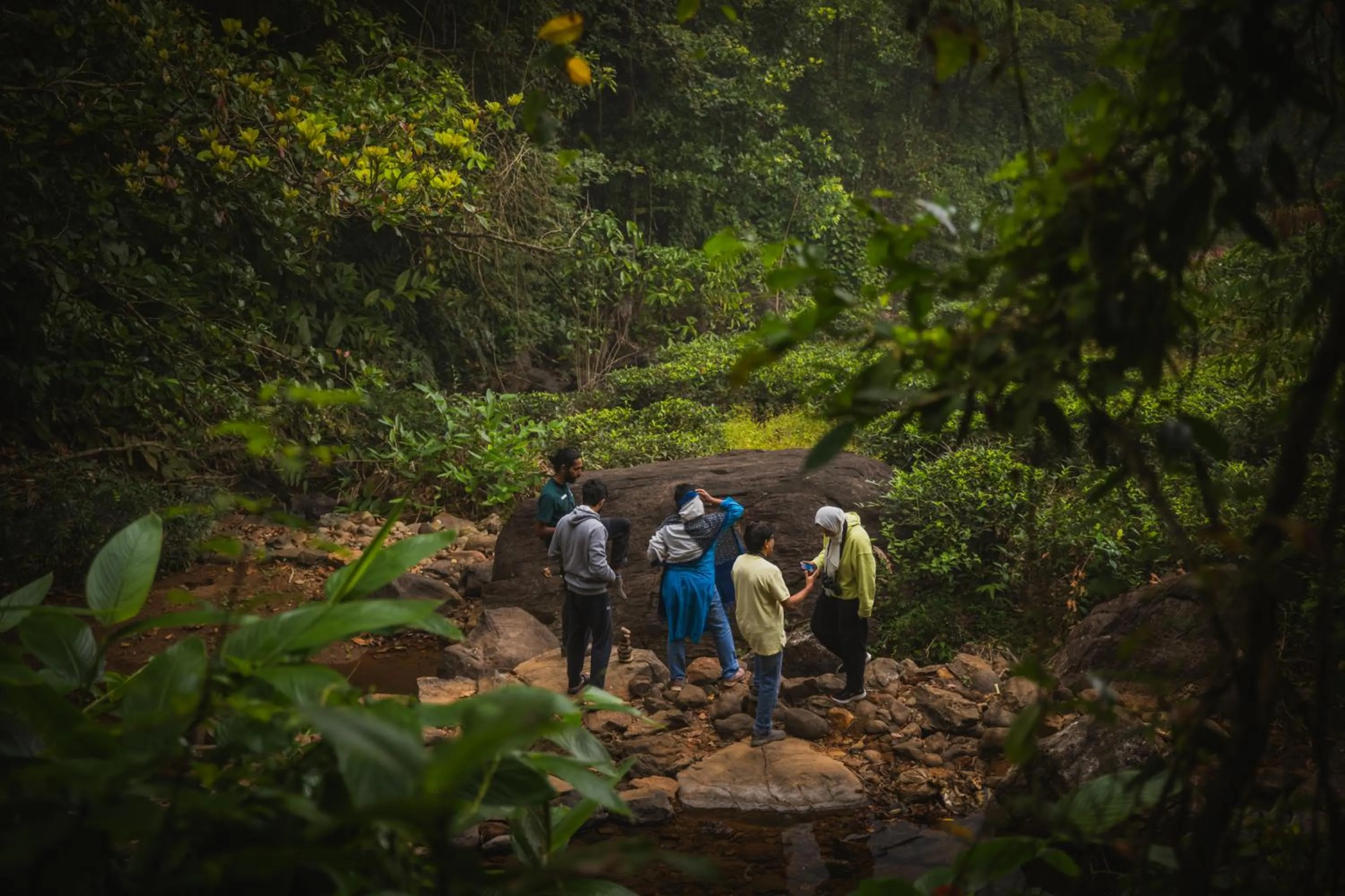 Activities in Flora Vythiri Resort Wayanad