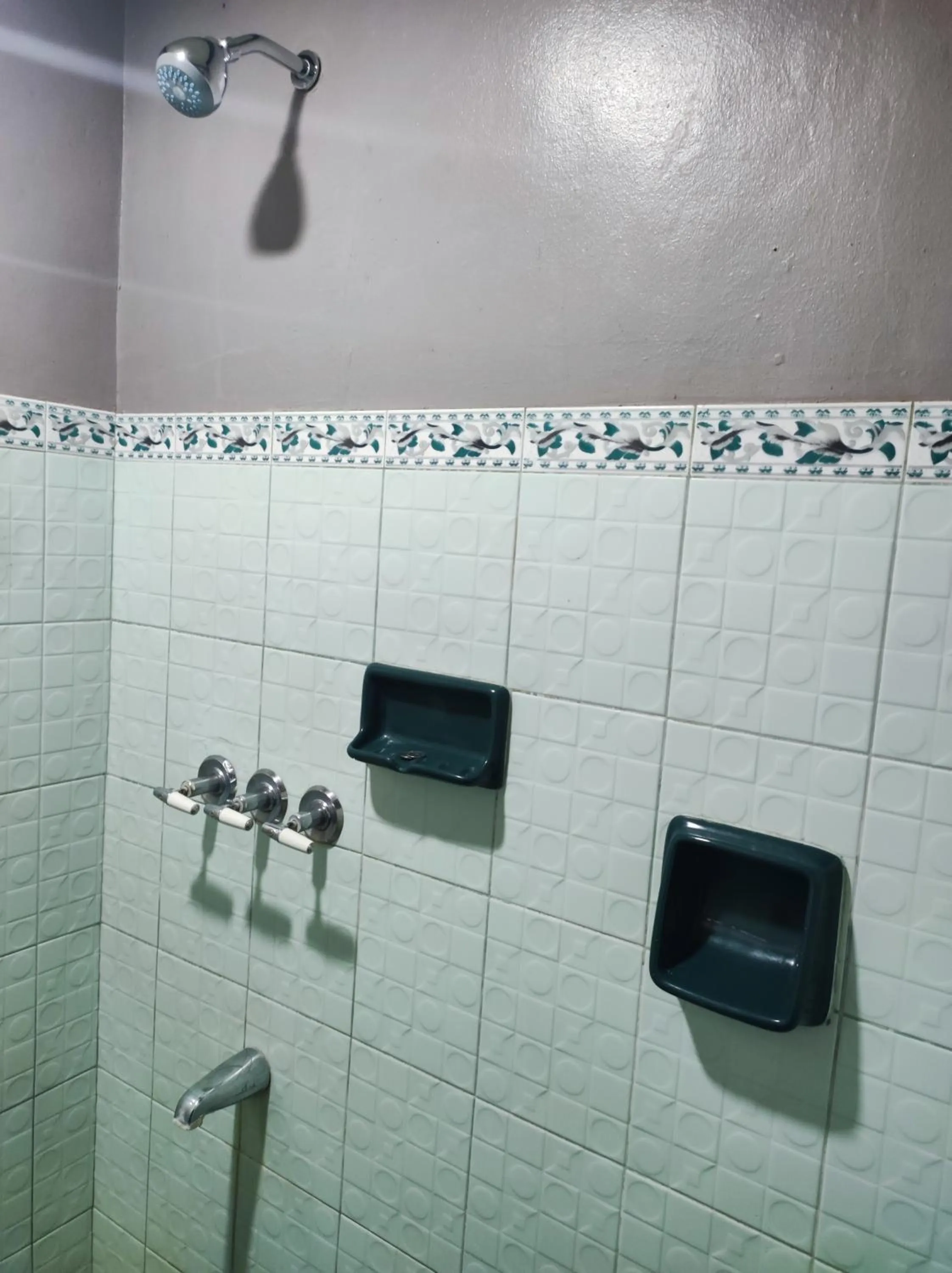 Shower in Parkview Hotel