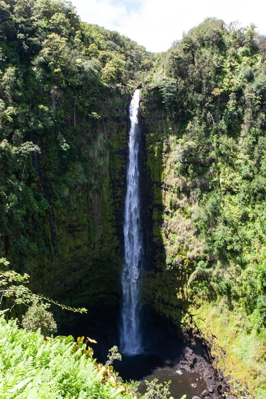 Off site in Arnott's Lodge & Hiking Adventures