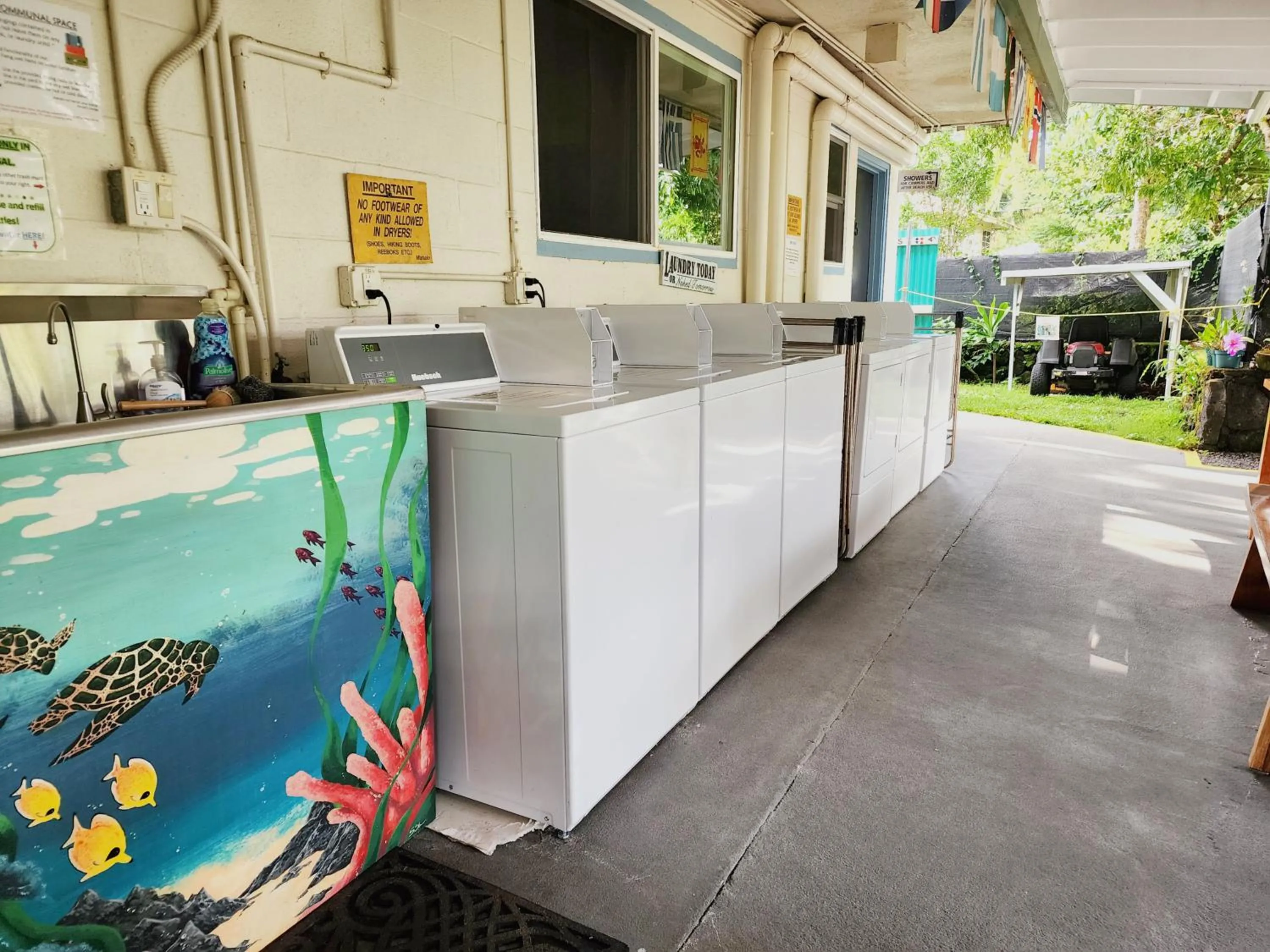 Area and facilities in Arnott's Lodge & Hiking Adventures