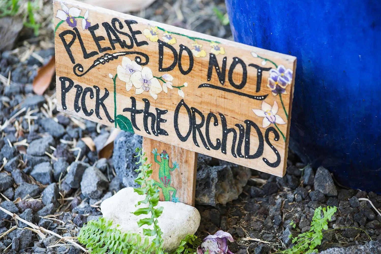 Natural landscape in Arnott's Lodge & Hiking Adventures