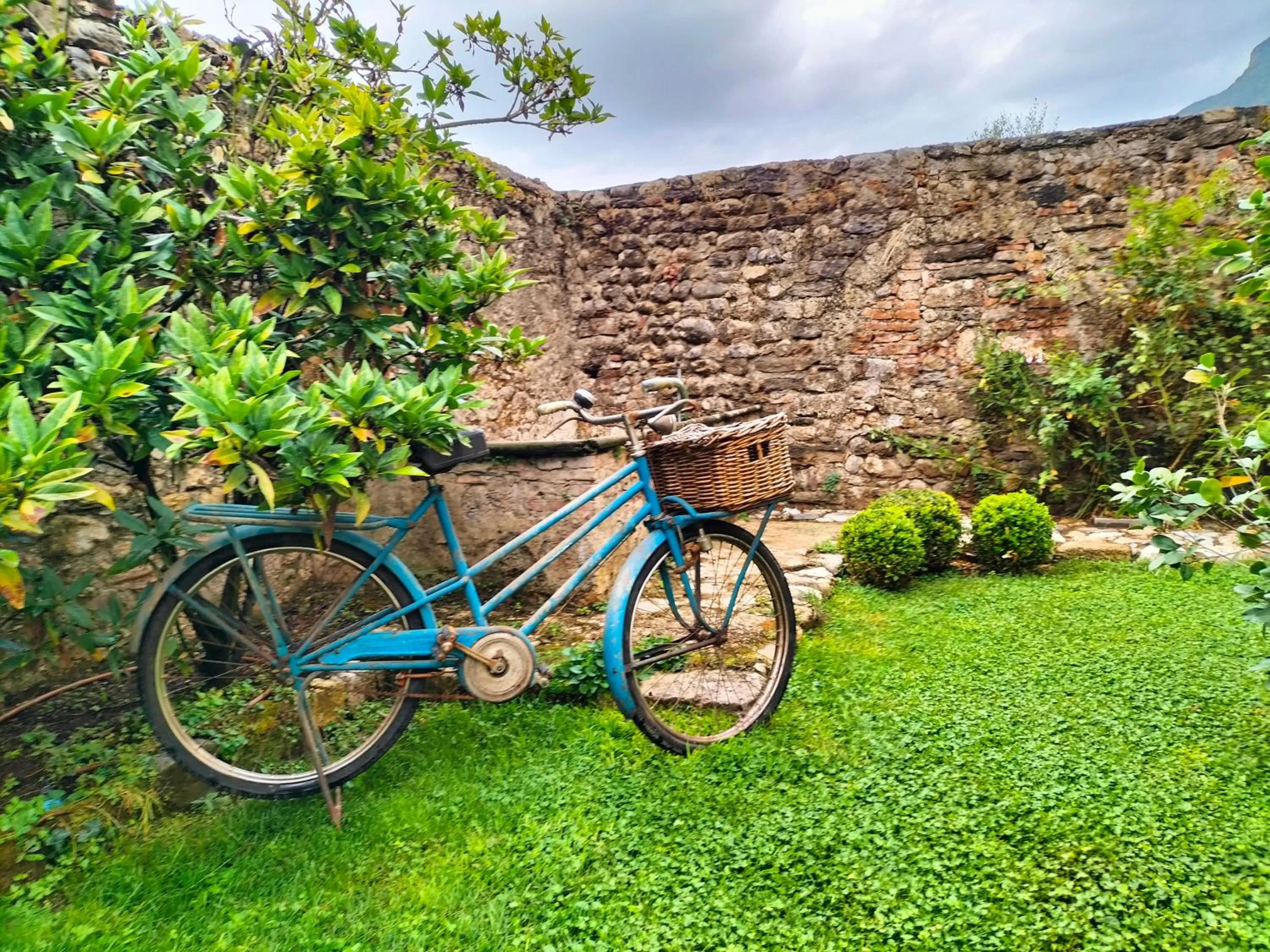 View (from property/room) in Badia Giulia Prestigious Historical B&B, Camaiore - Adults Only - No Pets