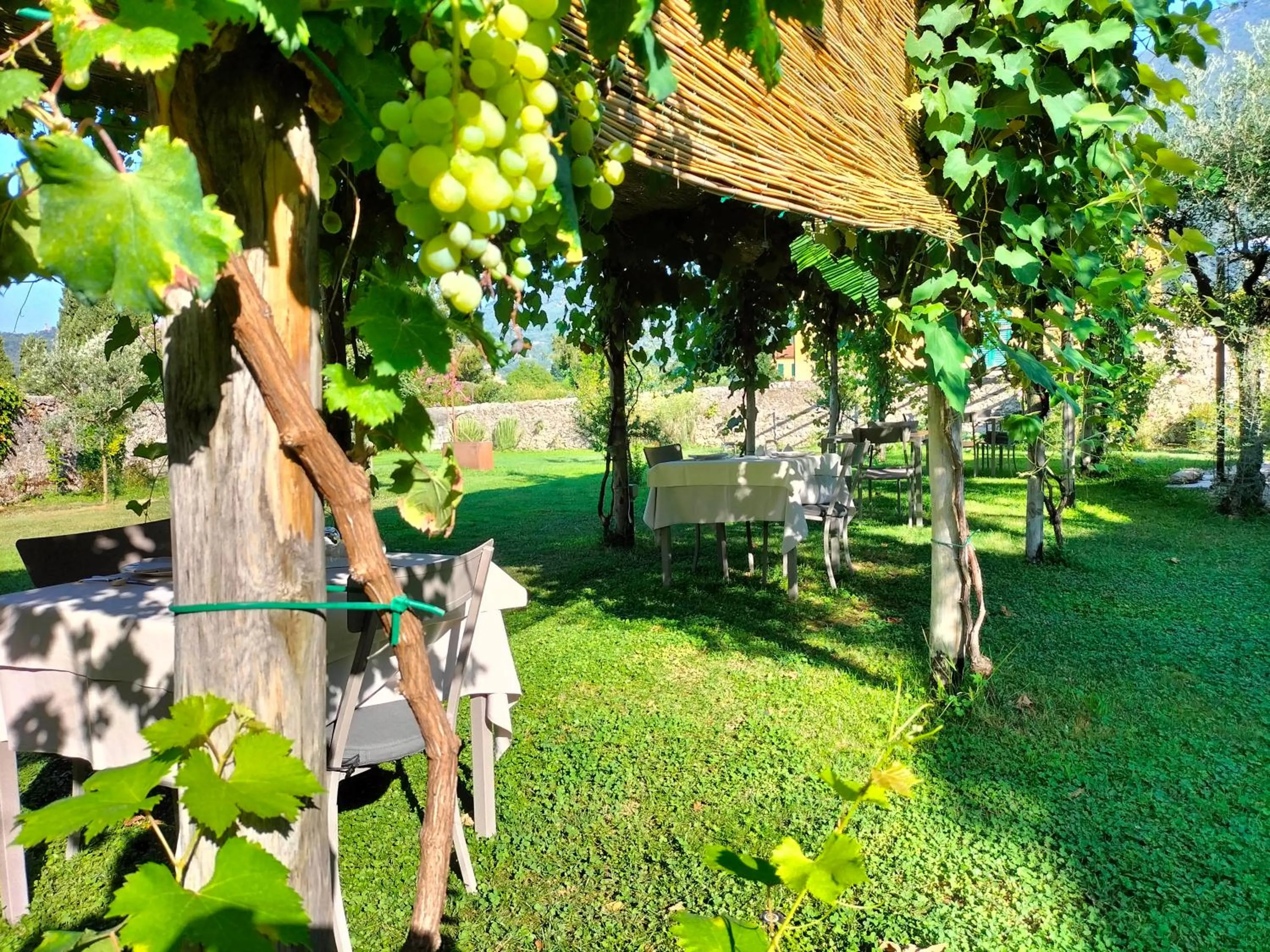 Garden in Badia Giulia Prestigious Historical B&B, Camaiore - Adults Only - No Pets