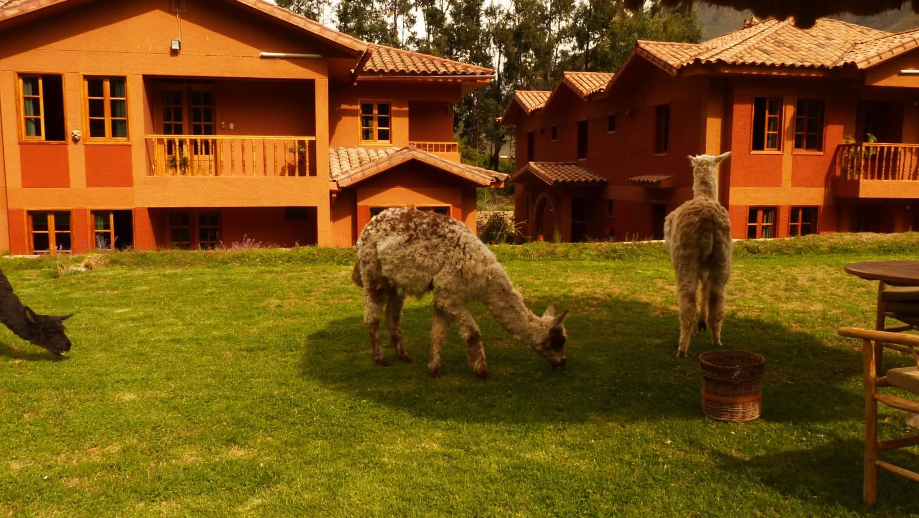 Day in Hotel Pakaritampu