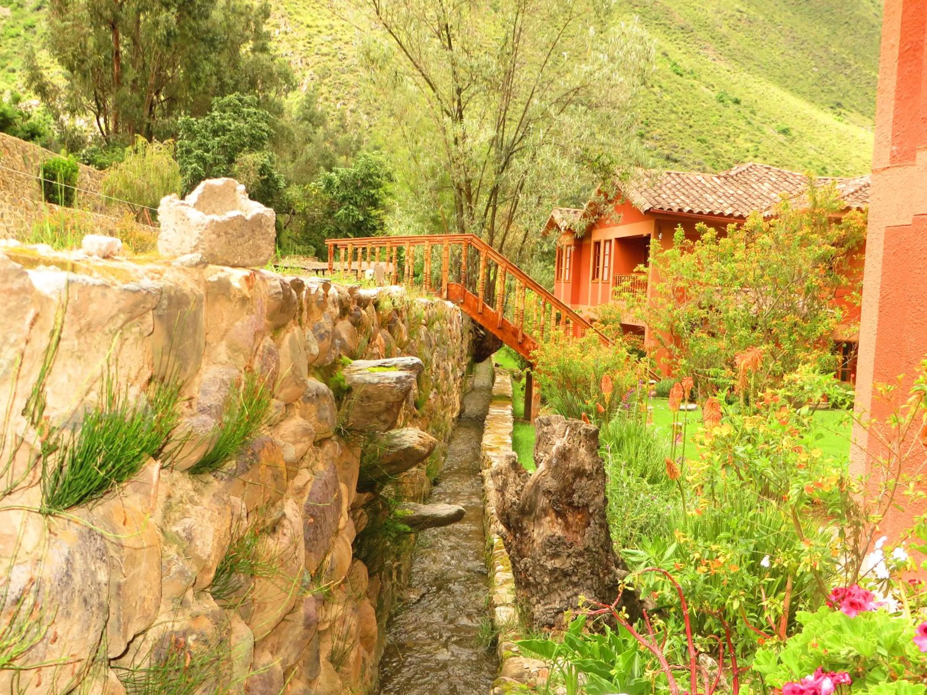 Natural landscape in Hotel Pakaritampu