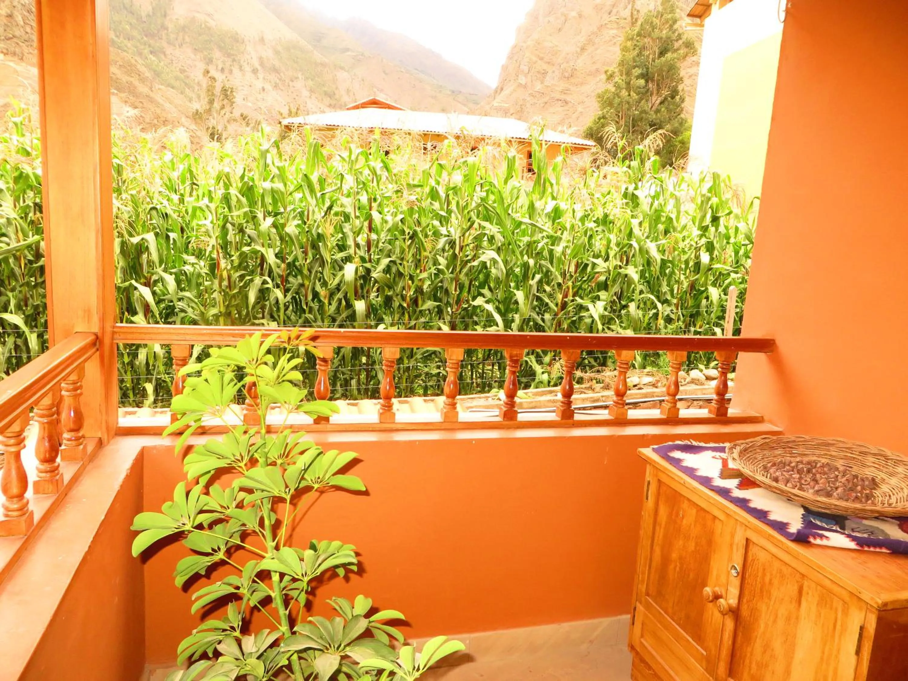 Natural landscape in Hotel Pakaritampu