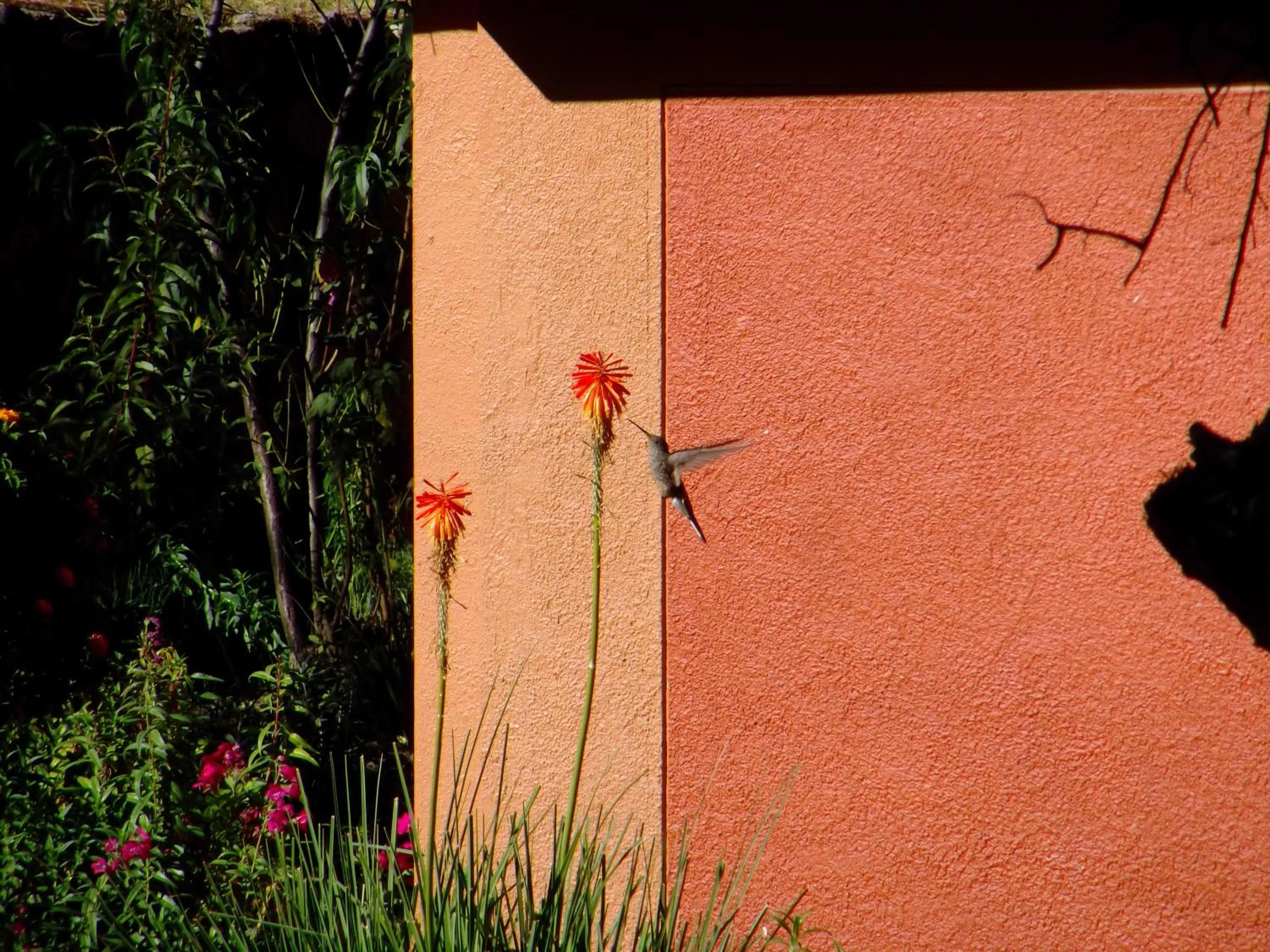 Day in Hotel Pakaritampu