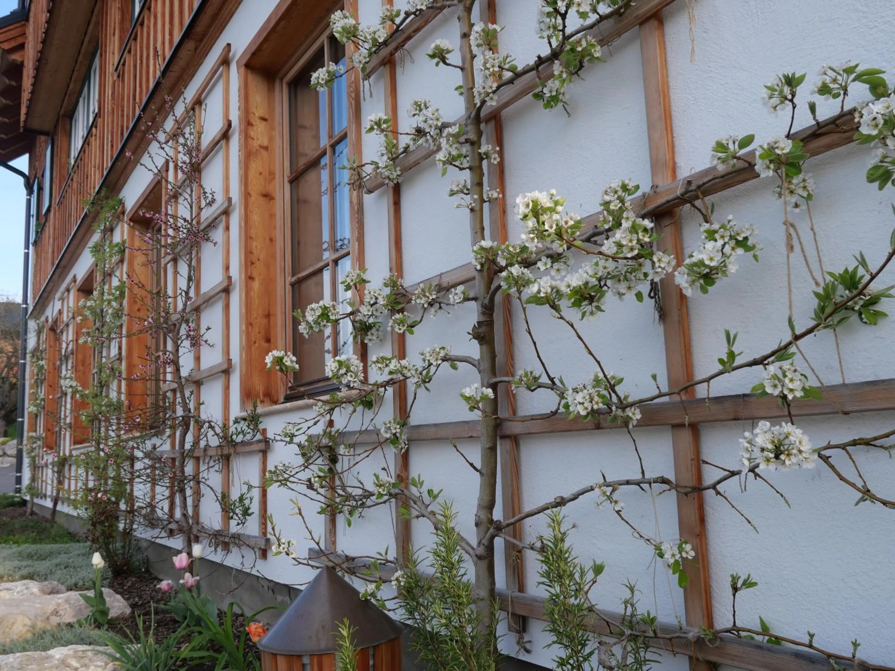 Spring in Ecologie Grundlsee