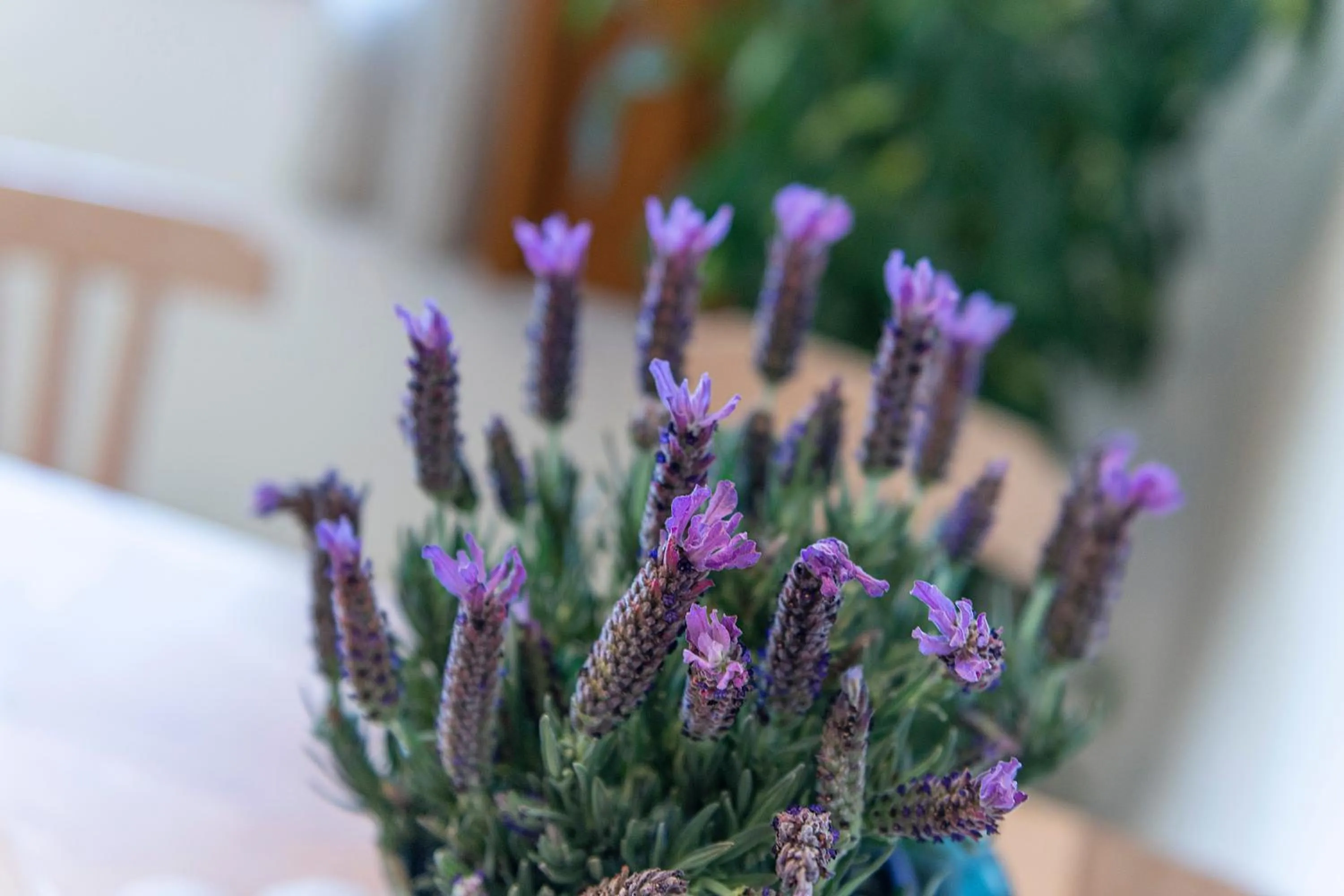 Photo of the whole room in Ecologie Grundlsee