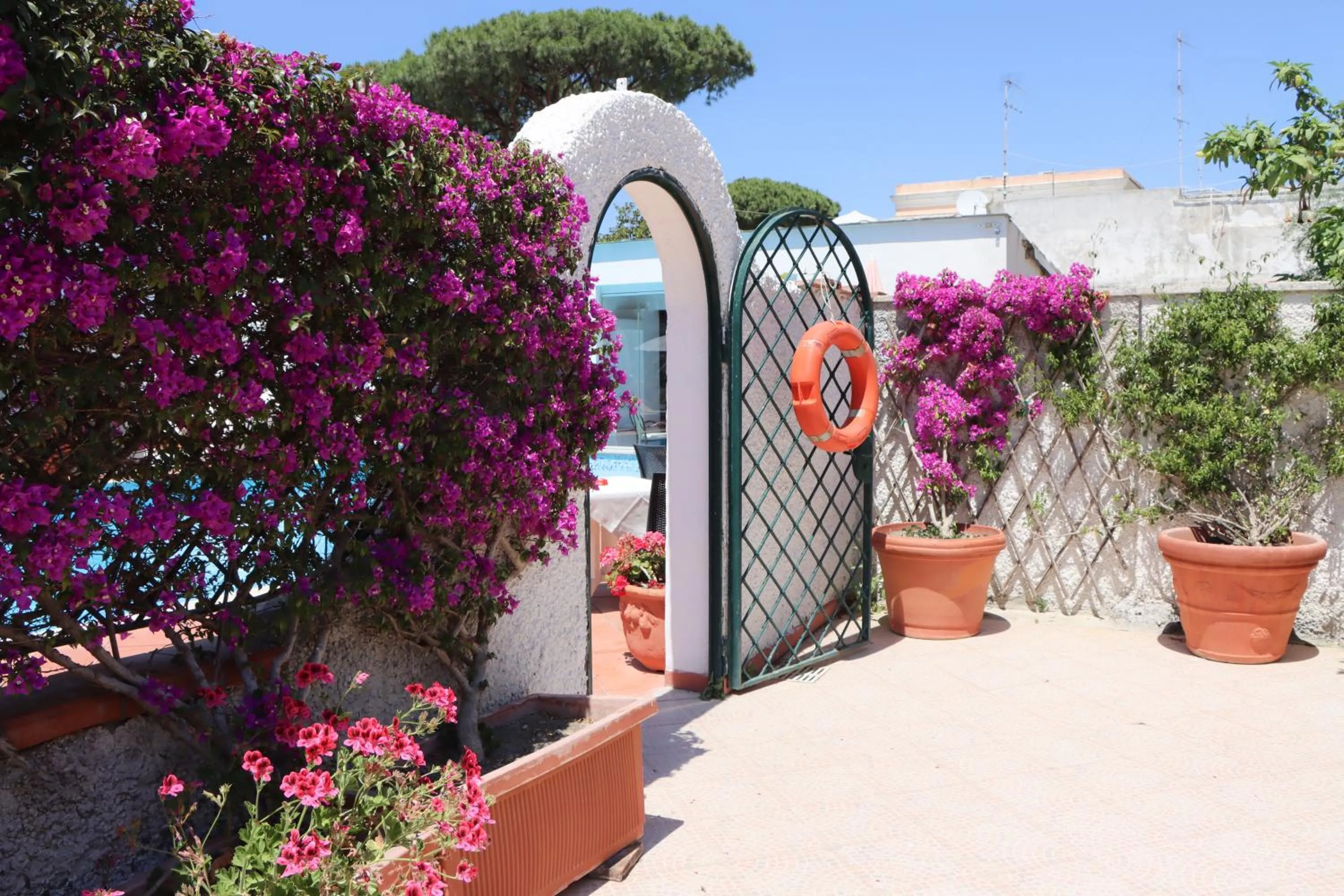 Garden in Hotel Lord Byron