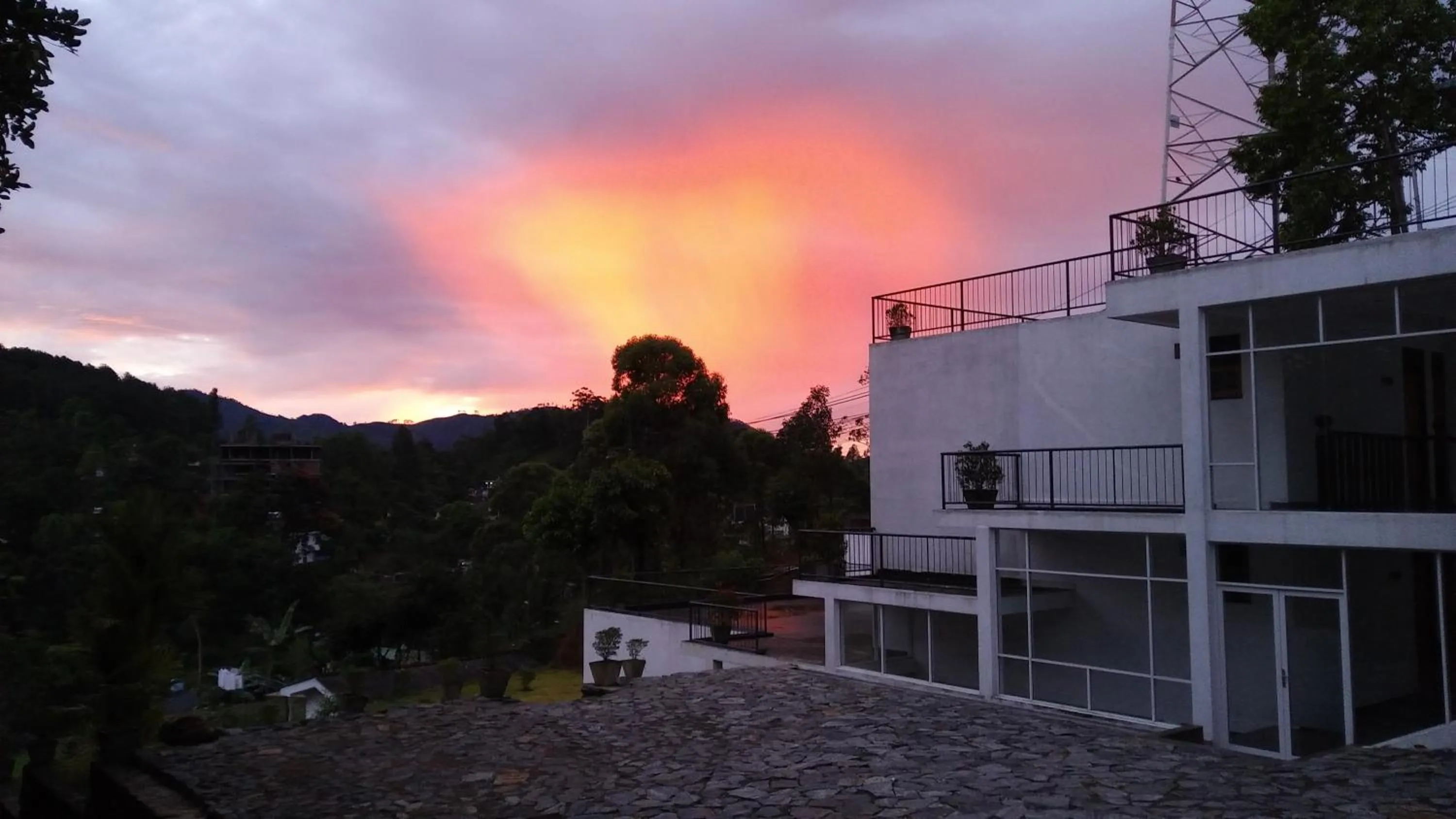 Garden in Alta Vista