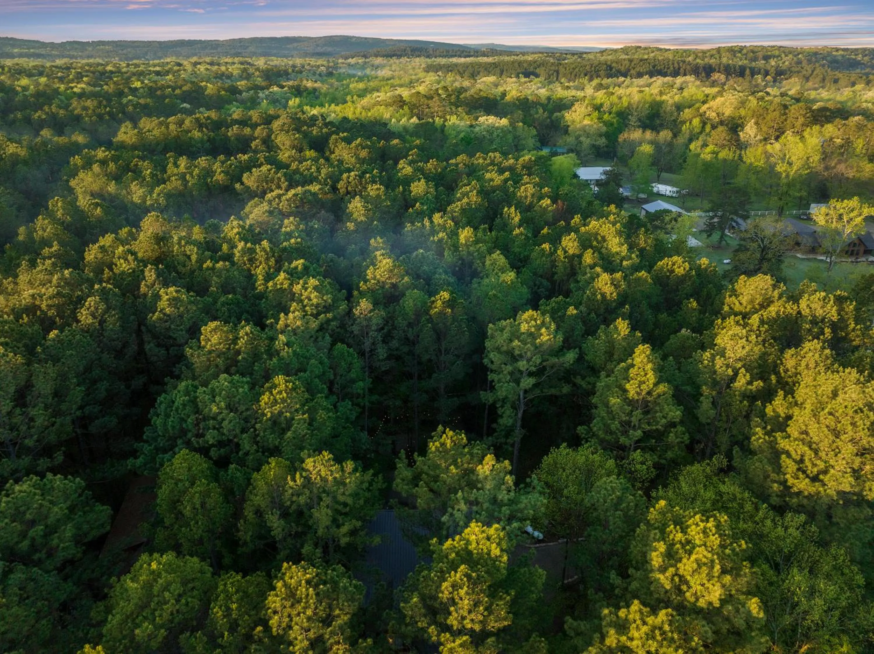 Natural landscape in Hickory Bear - Cabin surrounded by pines, Sleeps 10, Hot Tub, Fire Pit, Arcade, Foosball Table & Deck Slide