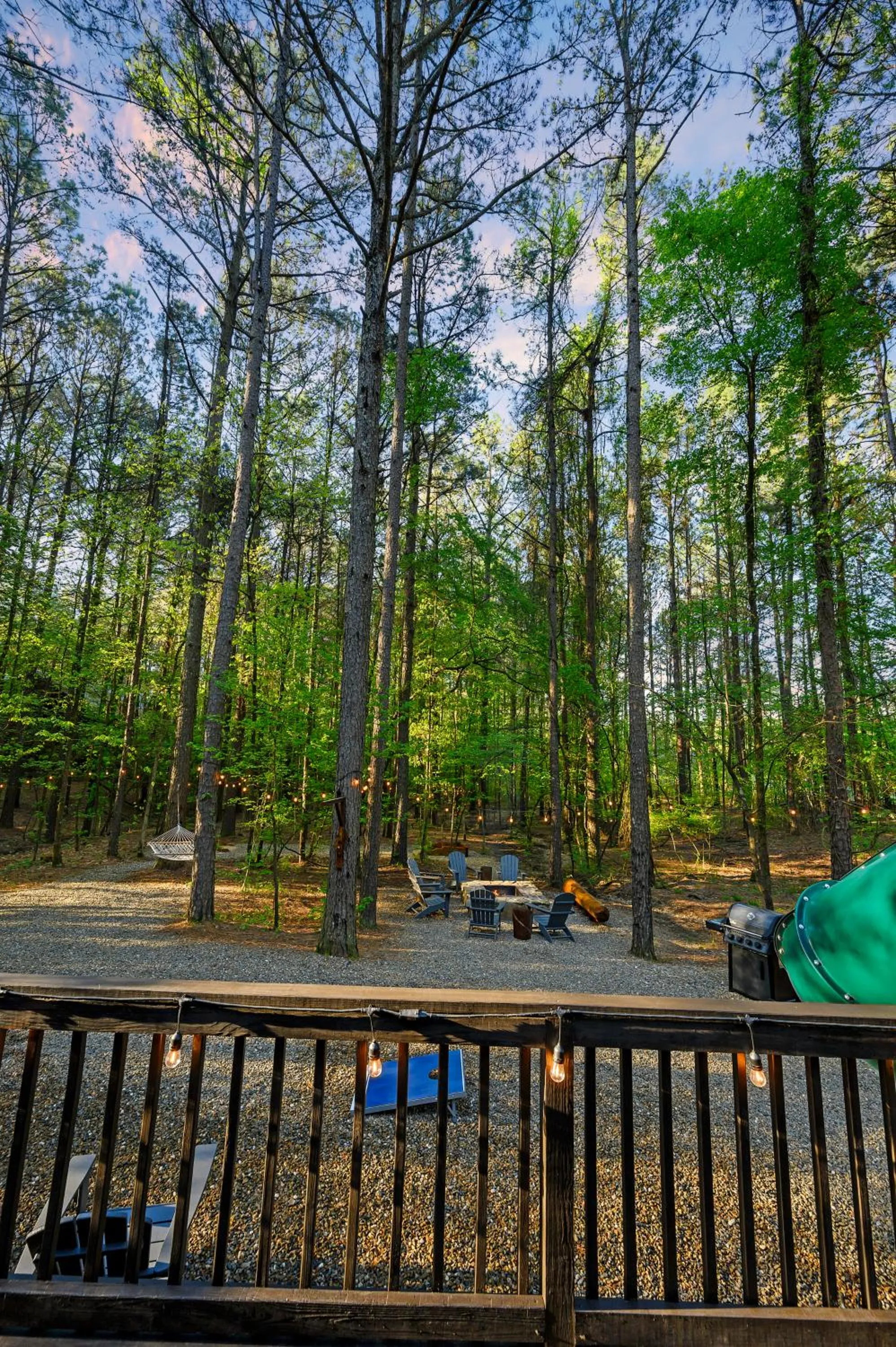 Natural landscape in Hickory Bear - Cabin surrounded by pines, Sleeps 10, Hot Tub, Fire Pit, Arcade, Foosball Table & Deck Slide